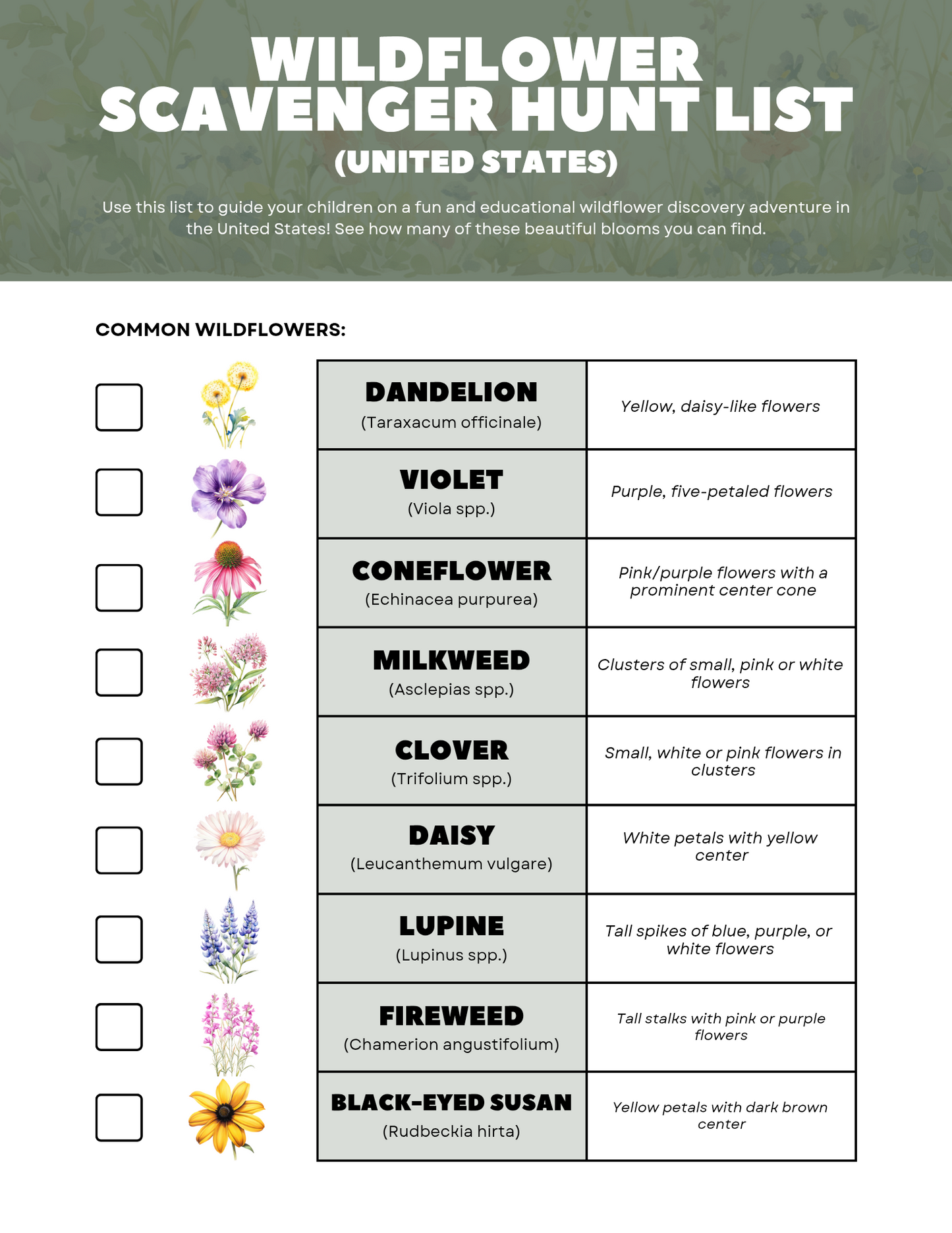 Free printable wildflower scavenger hunt ebook from Blessings Grow Meadows, featuring colorful wildflower illustrations and activity pages.