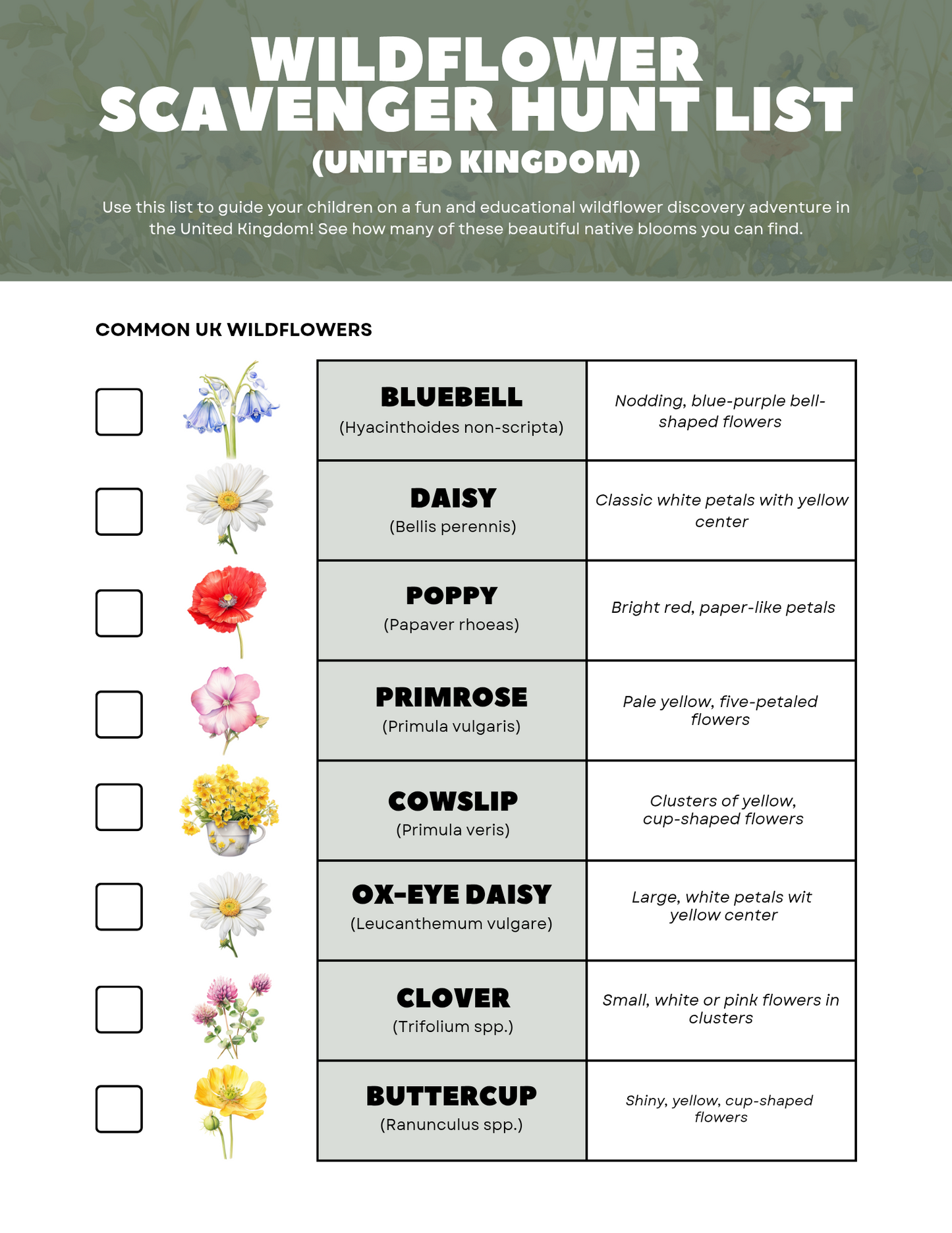 Free printable wildflower scavenger hunt ebook by Blessings Grow Meadows, featuring colorful illustrations and outdoor activity prompts.