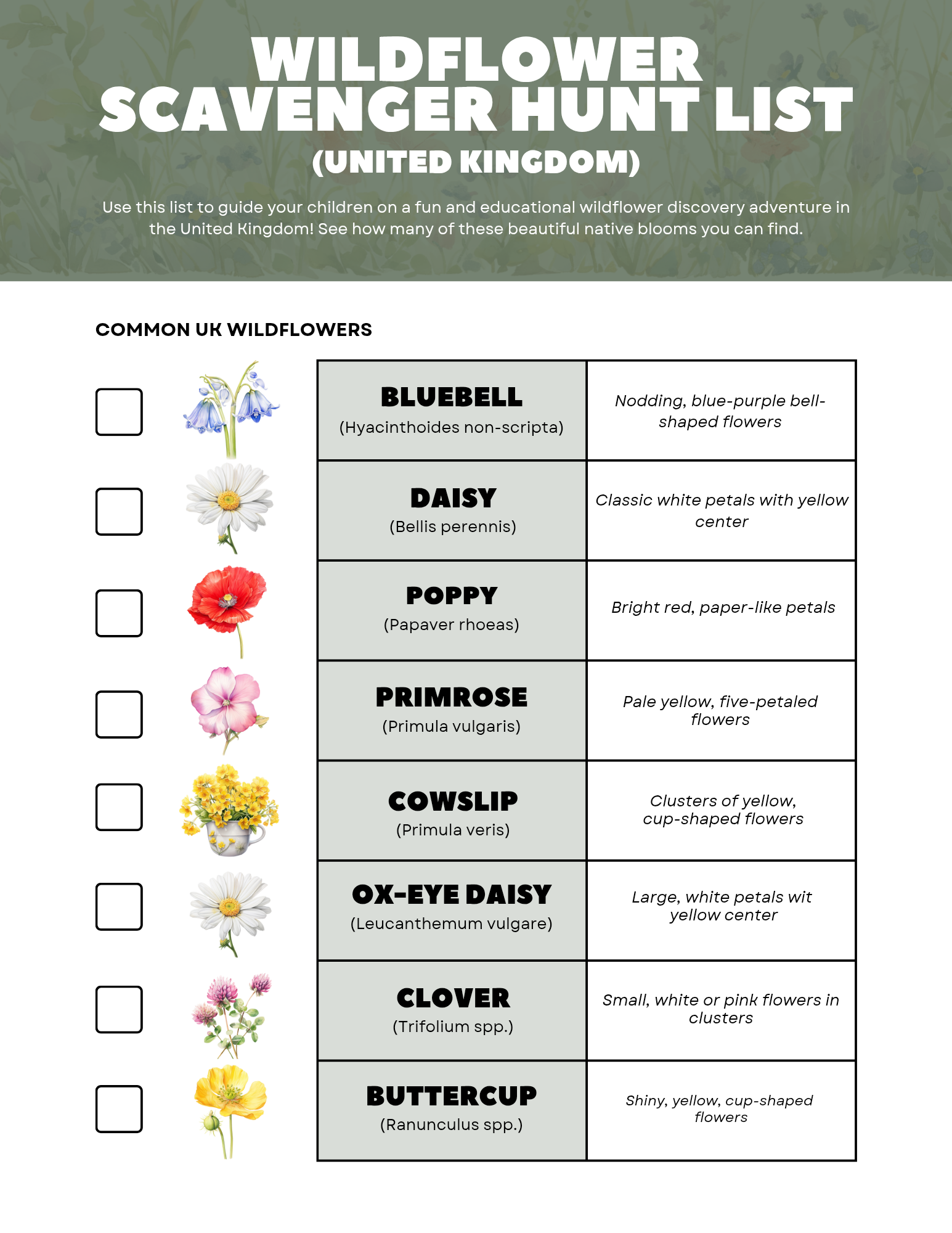 Free printable wildflower scavenger hunt ebook by Blessings Grow Meadows, featuring colorful illustrations and outdoor activity prompts.