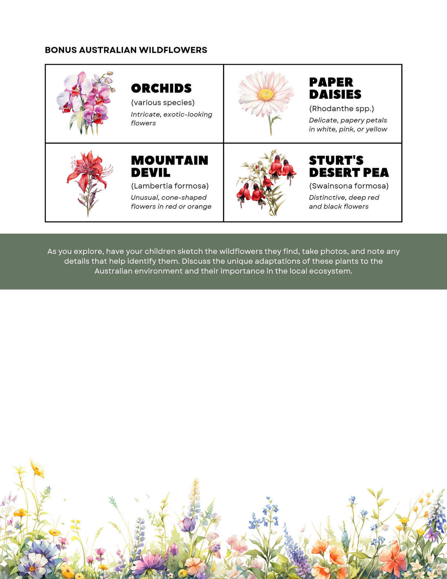 Free printable wildflower scavenger hunt ebook by Blessings Grow Meadows, featuring colorful wildflower illustrations and activity pages.