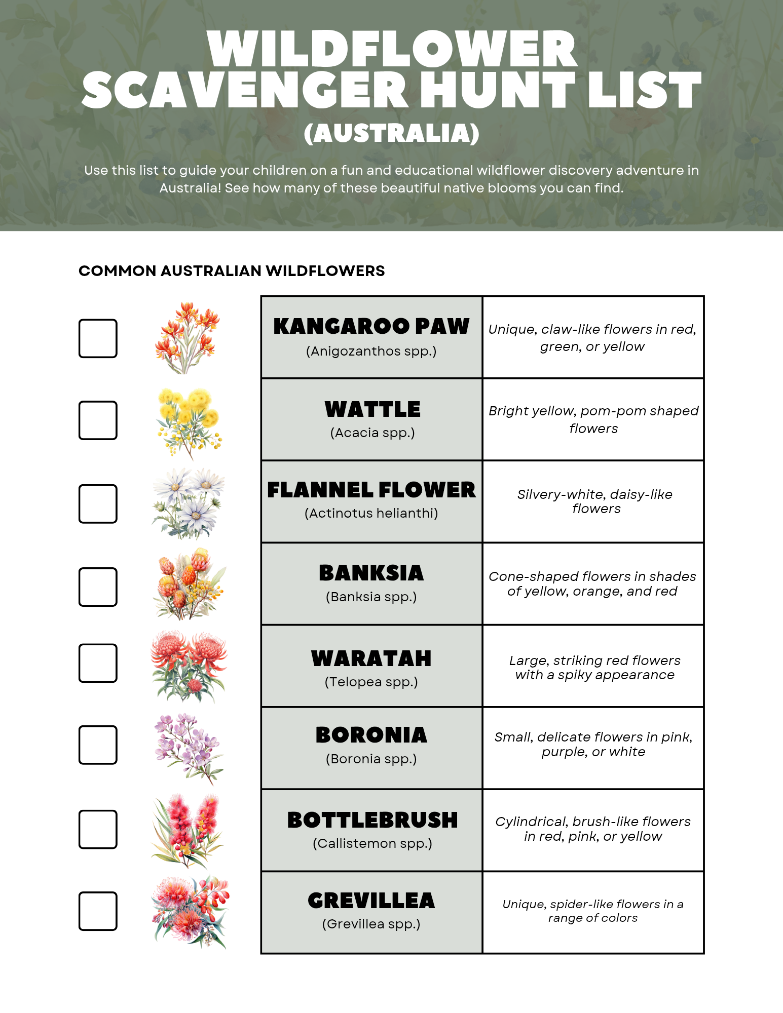 Free printable wildflower scavenger hunt ebook by Blessings Grow Meadows, featuring colorful wildflower illustrations and activity pages.