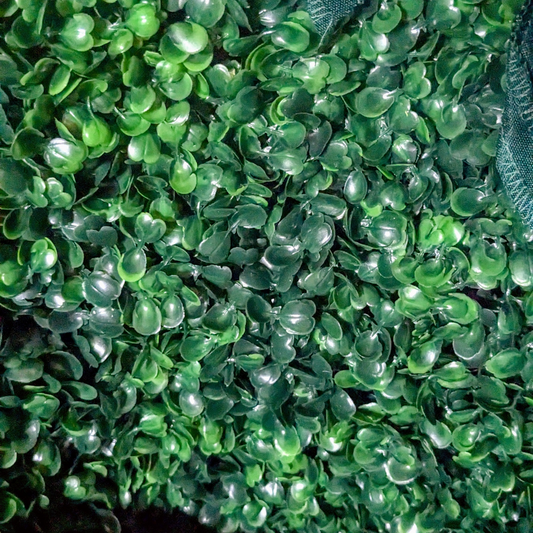 Artificial green boxwood wall backdrop with stand, 8x8 feet, for event rentals by Blessings Grow Meadows Merch.