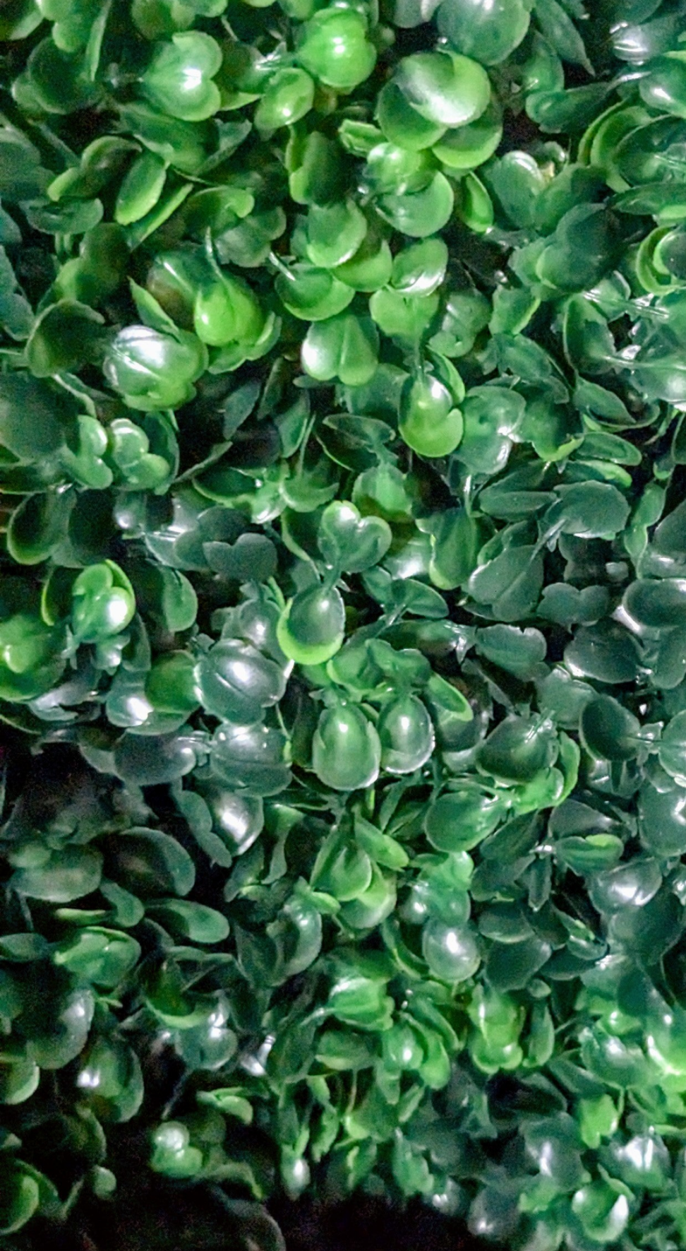 Artificial green boxwood wall backdrop and stand for events, 8x8 feet, by Blessings Grow Meadows Merch.