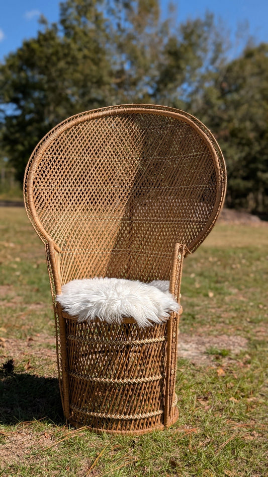 Two vintage boho peacock chairs, his and hers style, in rustic wood finish, displayed for event rental in Metter, GA.