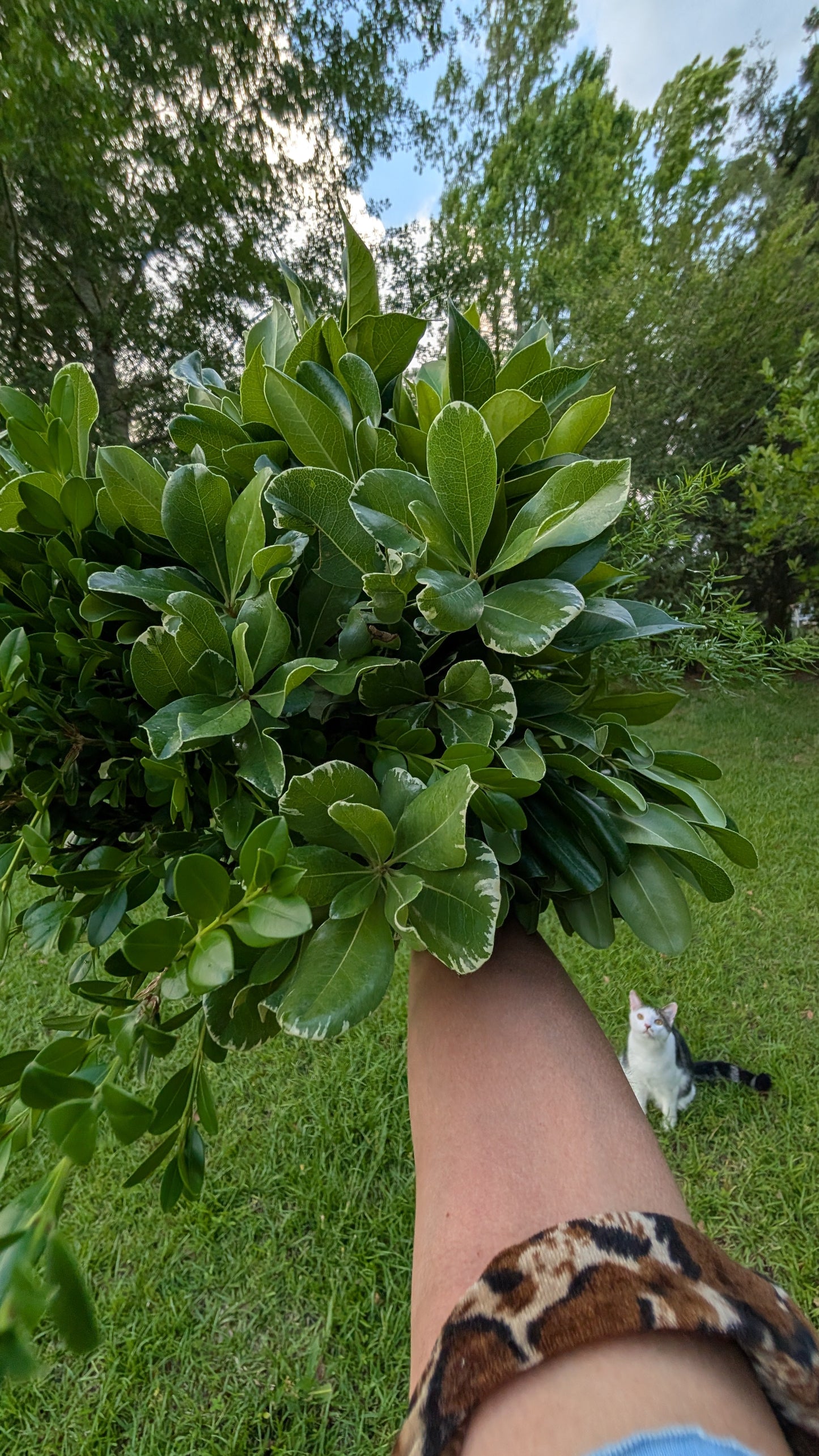 Colorful DIY event flowers and fresh greenery in bloom buckets from Blessings Grow Meadows for bulk floral arrangements.