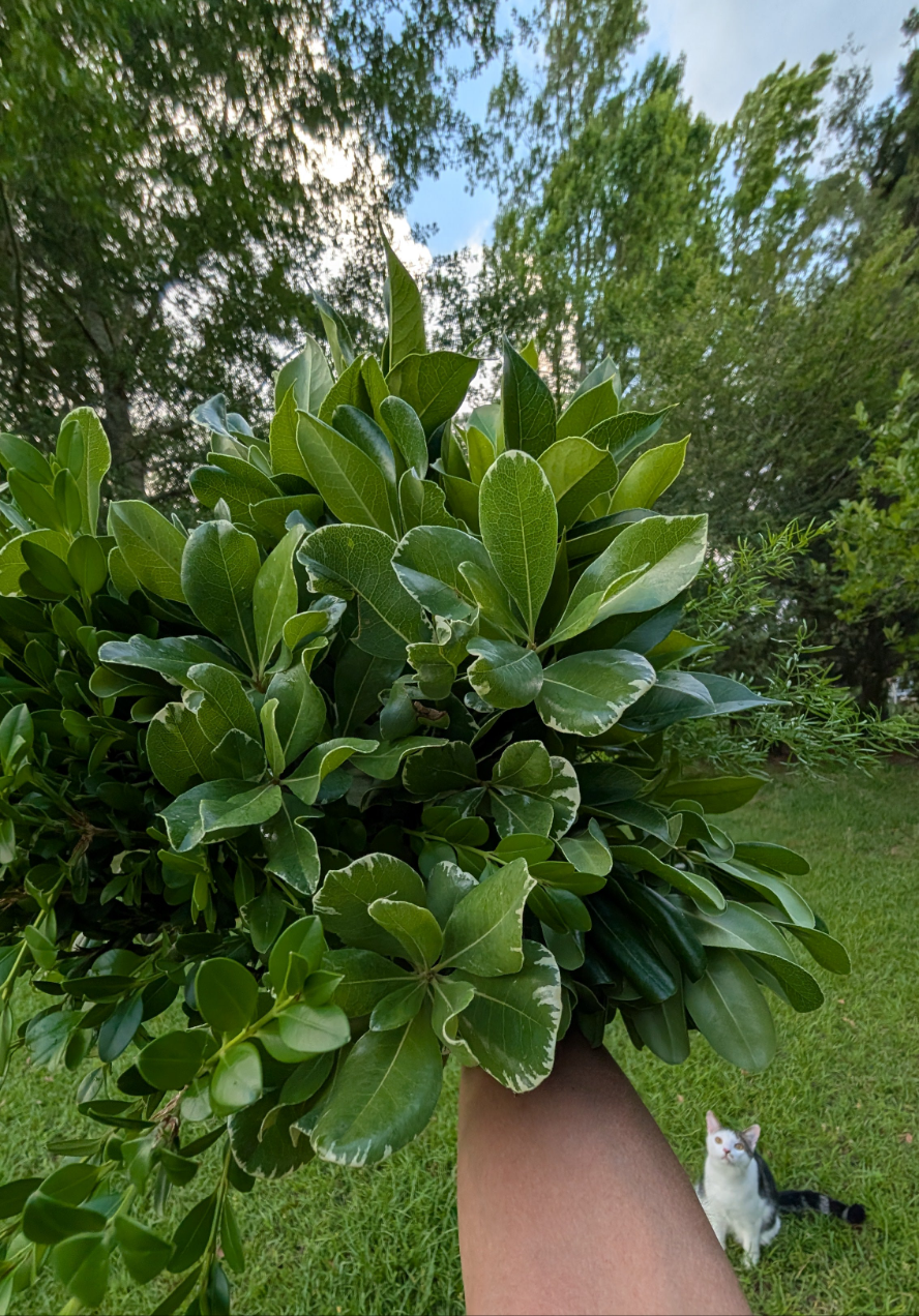 Multicolor DIY event flowers and fresh greenery in bloom buckets, available from Blessings Grow Meadows Merch & More in Metter, GA.
