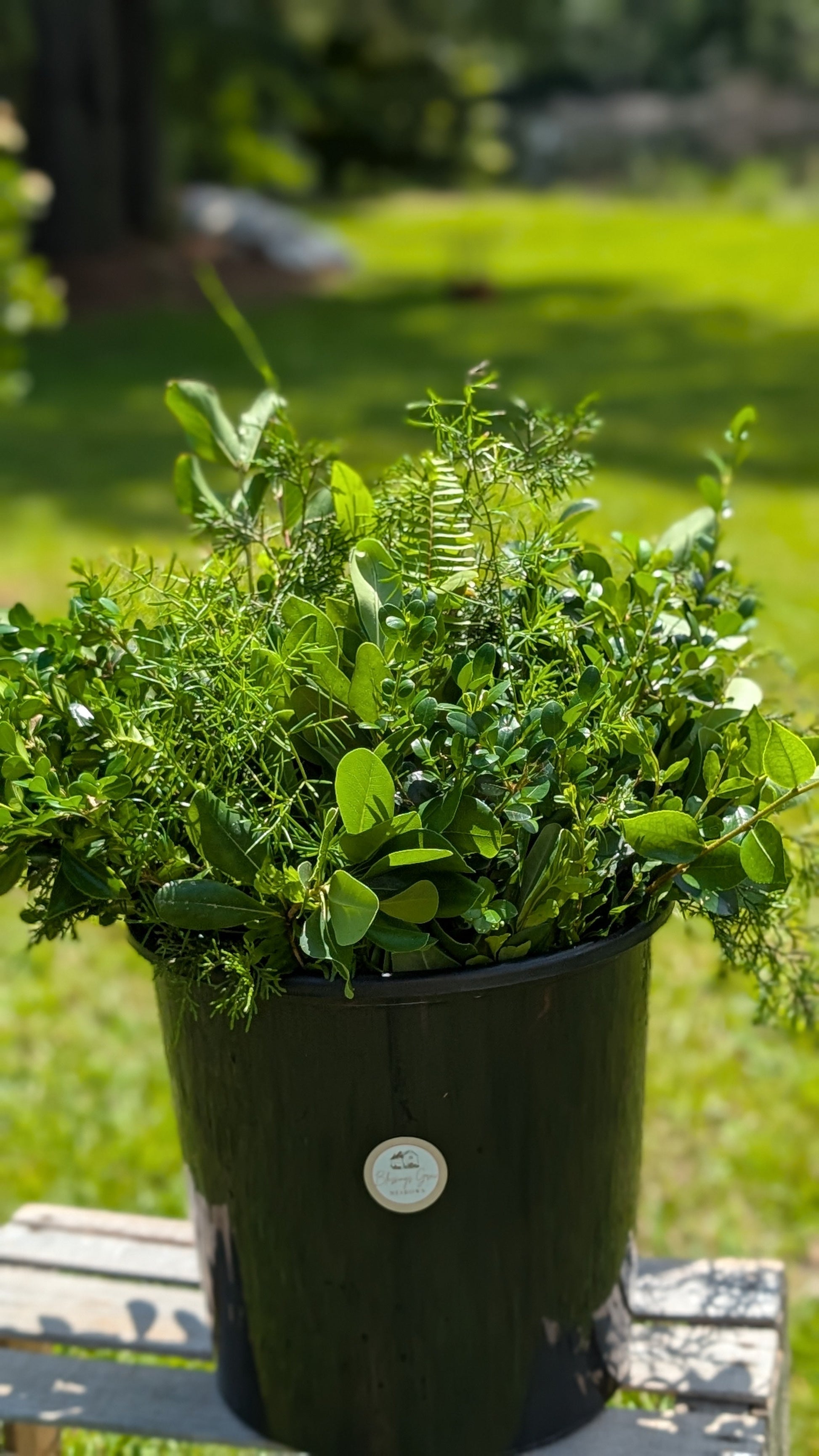 Colorful DIY event flowers and fresh greenery in bloom buckets from Blessings Grow Meadows, ready for pickup in Metter, GA.