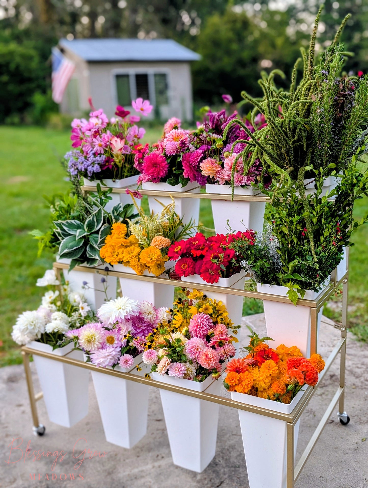 DIY Boom Bar with fresh cut flowers for bouquet making at Blessings Grow Meadows, featuring colorful blooms for event and fundraiser in Metter, GA.