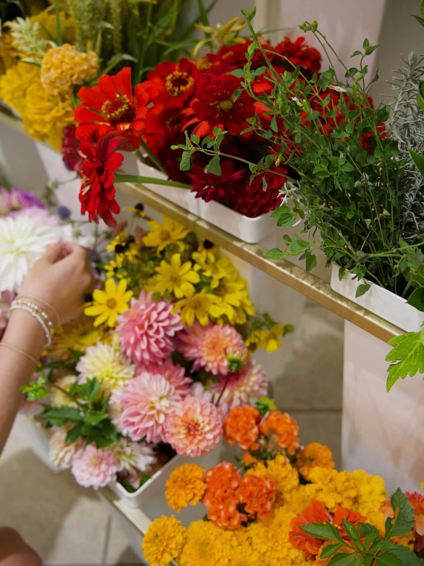 Fresh cut flowers for Blooms 4 Good donations and Bloom Bar fundraisers by Blessings Grow Meadows in Metter, GA.