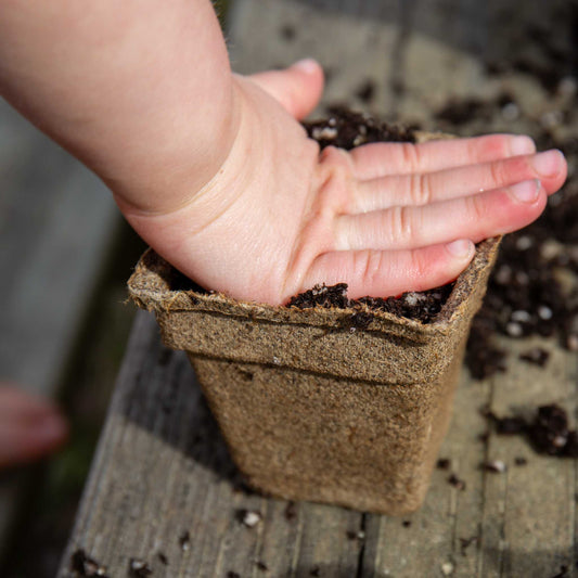 CowPots® Starter Kit by Bootstrap Farmer with biodegradable pots and planting accessories for easy seed starting.