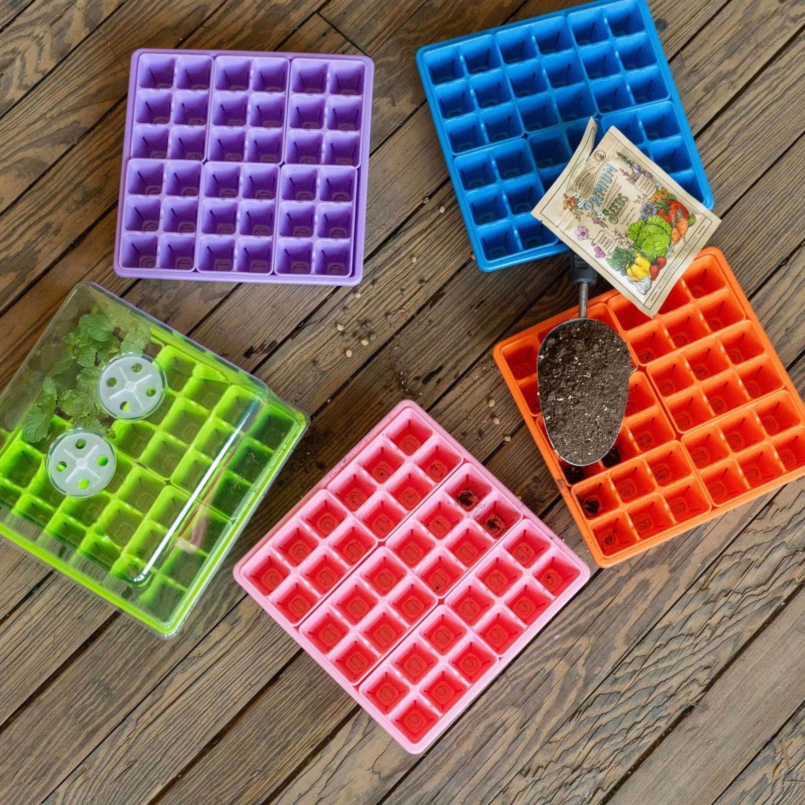 Bootstrap Farmer 1010 seed starter trays with blue humidity domes for backyard gardening, ideal for seed germination and propagation.