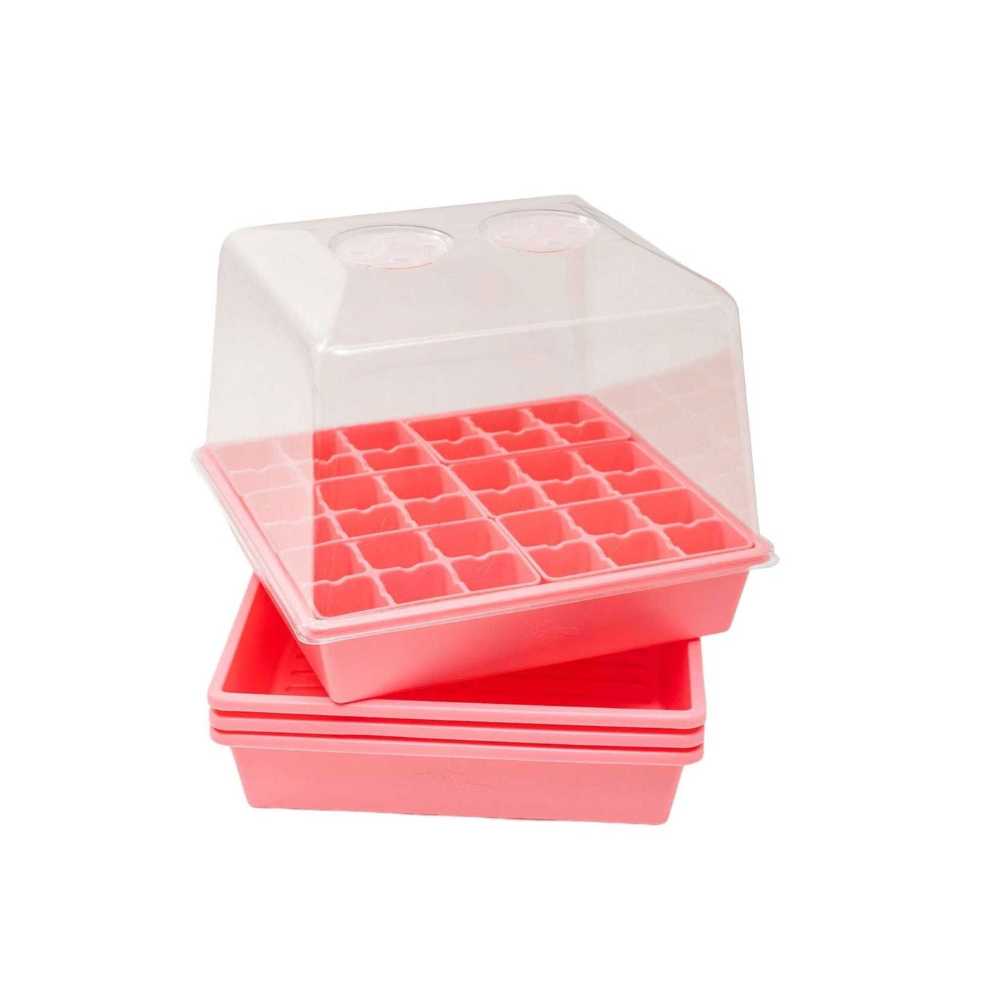 Bootstrap Farmer 1010 seed starter trays with blue humidity domes, ideal for backyard gardeners to start seedlings indoors.