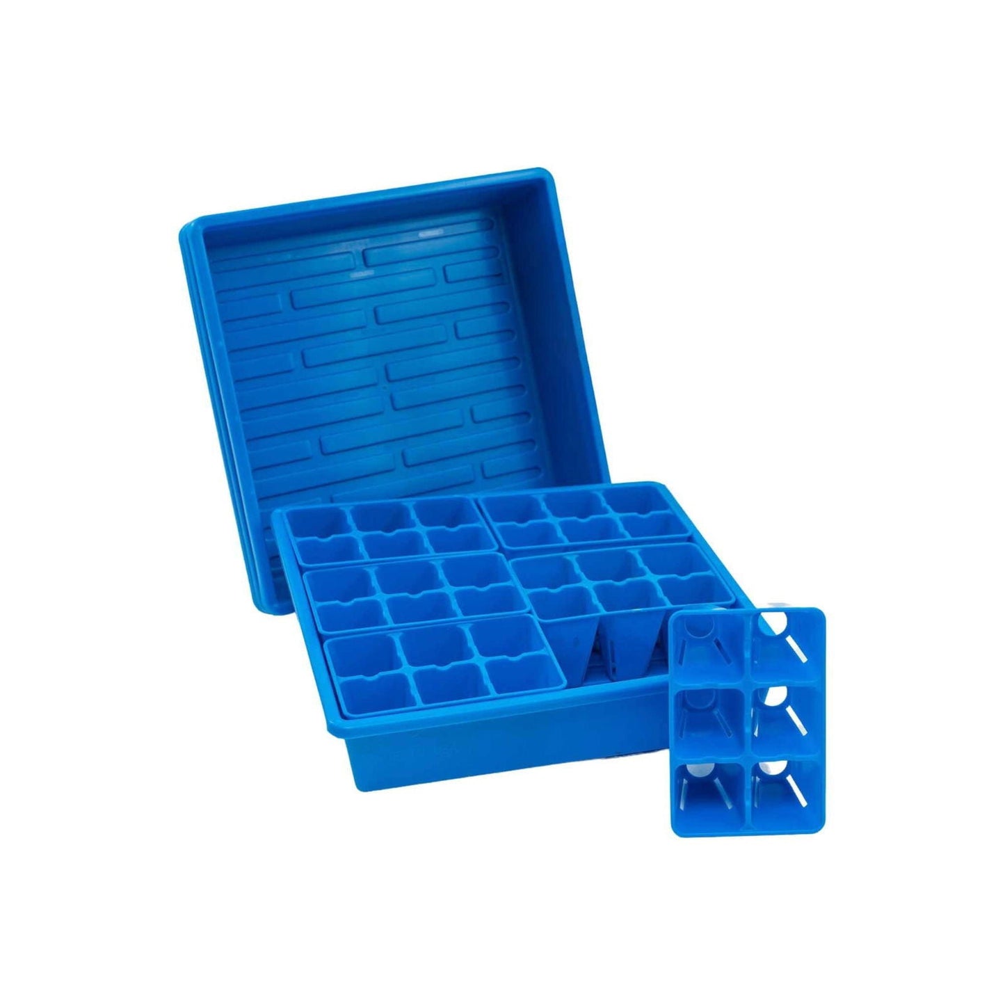 Bootstrap Farmer 1010 seed starter trays with blue humidity domes, ideal for backyard gardeners, showcasing seedling propagation setup.