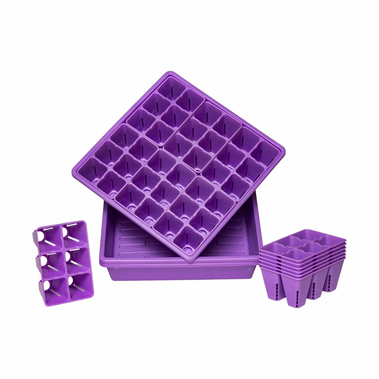 Bootstrap Farmer 1010 seed starter trays with blue humidity domes, ideal for backyard gardening seed germination.