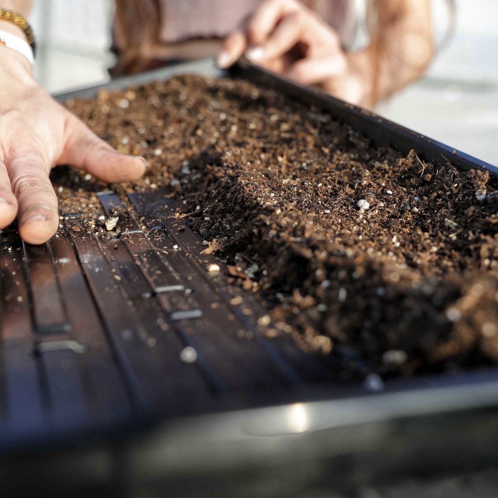 Black Bootstrap Farmer 1020 Microgreen Trays, shallow extra strength 1020 trays for planting microgreens, no drainage holes.