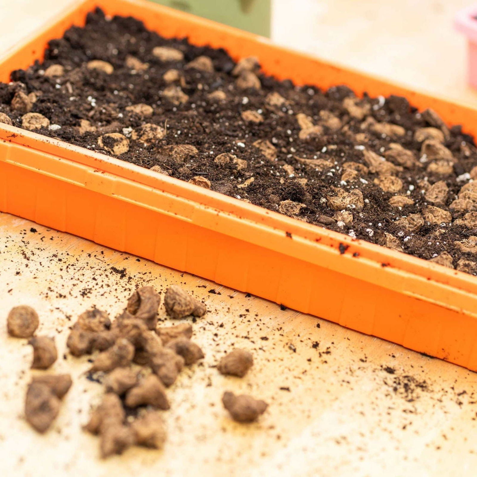 Blue Bootstrap Farmer 1020 Seed Starting Tray with no holes, designed for efficient seed propagation and gardening.