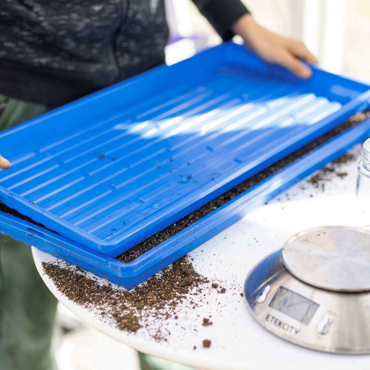 Green Bootstrap Farmer 1020 Microgreen Trays, shallow extra strength, no holes, ideal for microgreens and small plant growing.