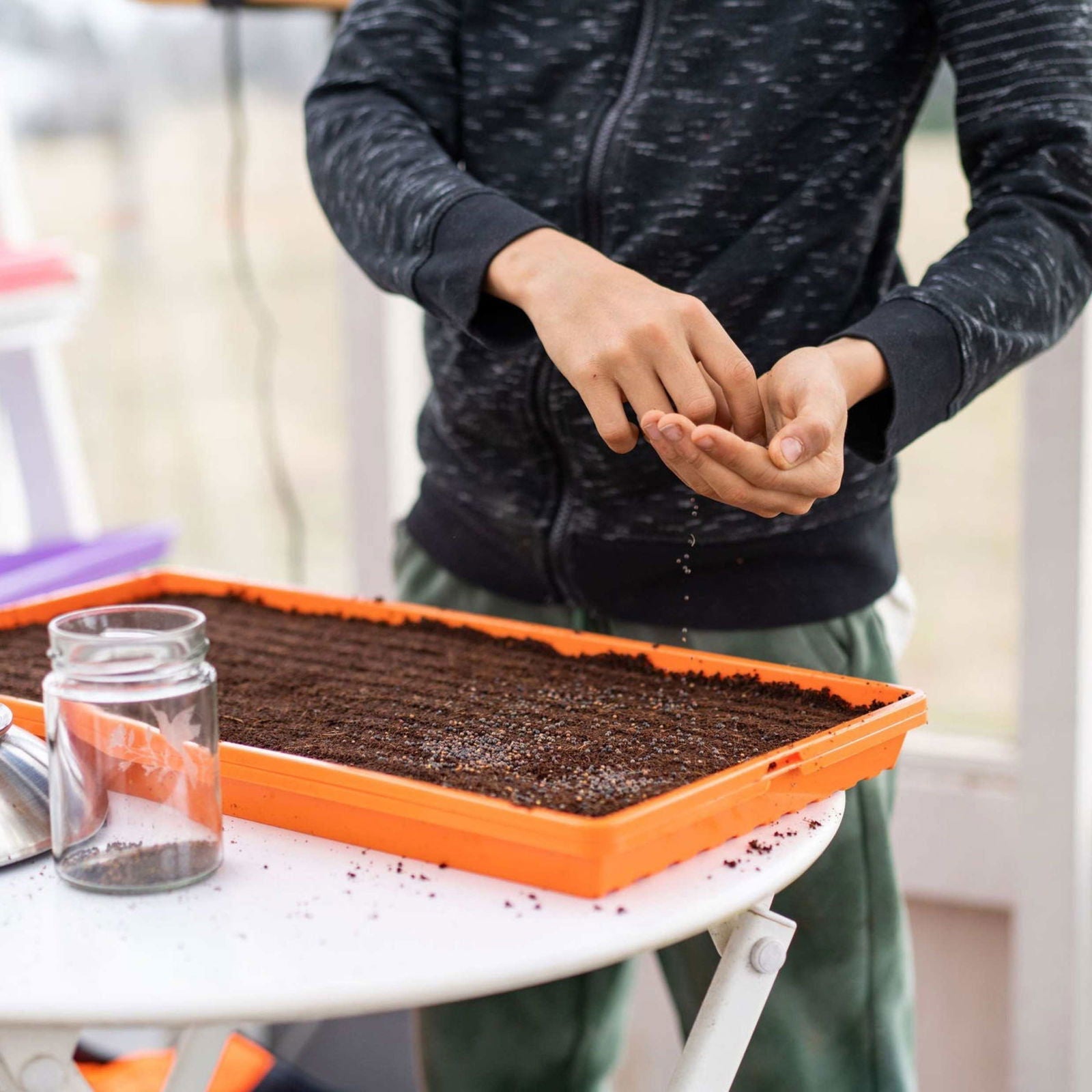 Bootstrap Farmer 1020 Microgreen Trays, shallow extra strength green trays with no holes for microgreens and seed starting.