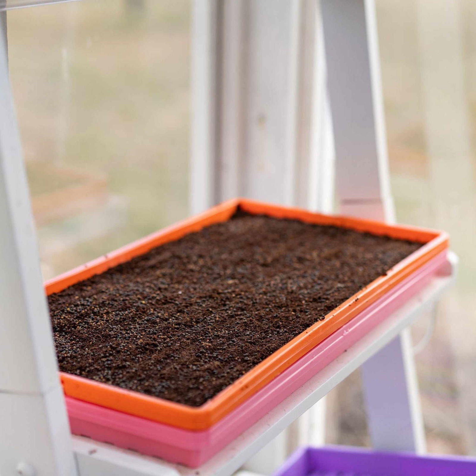 Green Bootstrap Farmer 1020 Microgreen Trays, shallow extra-strength plastic, no holes, ideal for microgreen cultivation.