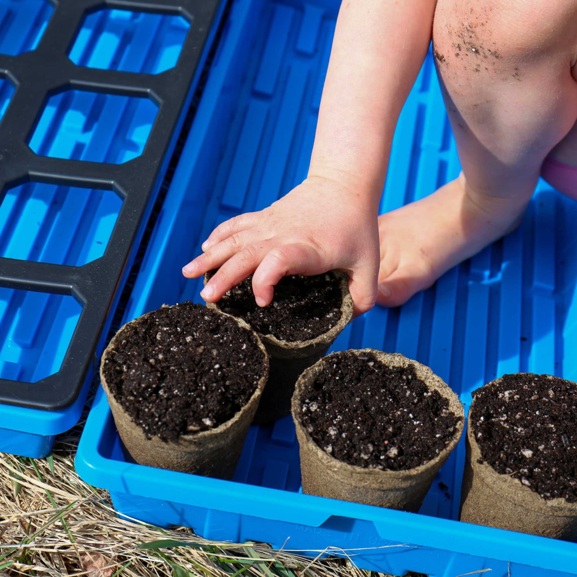 Set of three round CowPots® #3 biodegradable plant pots by Bootstrap Farmer on a white background.