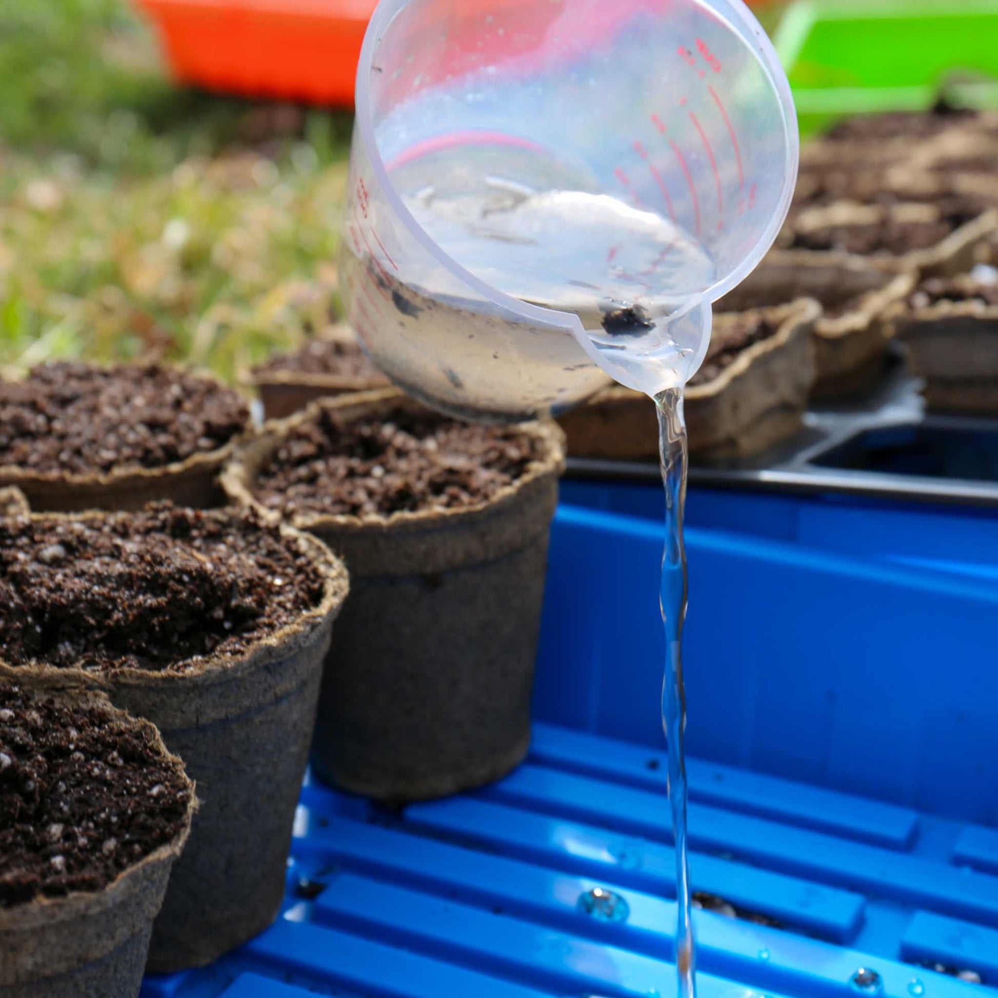 Set of three Bootstrap Farmer CowPots® #3 Round biodegradable planting pots on a white background.