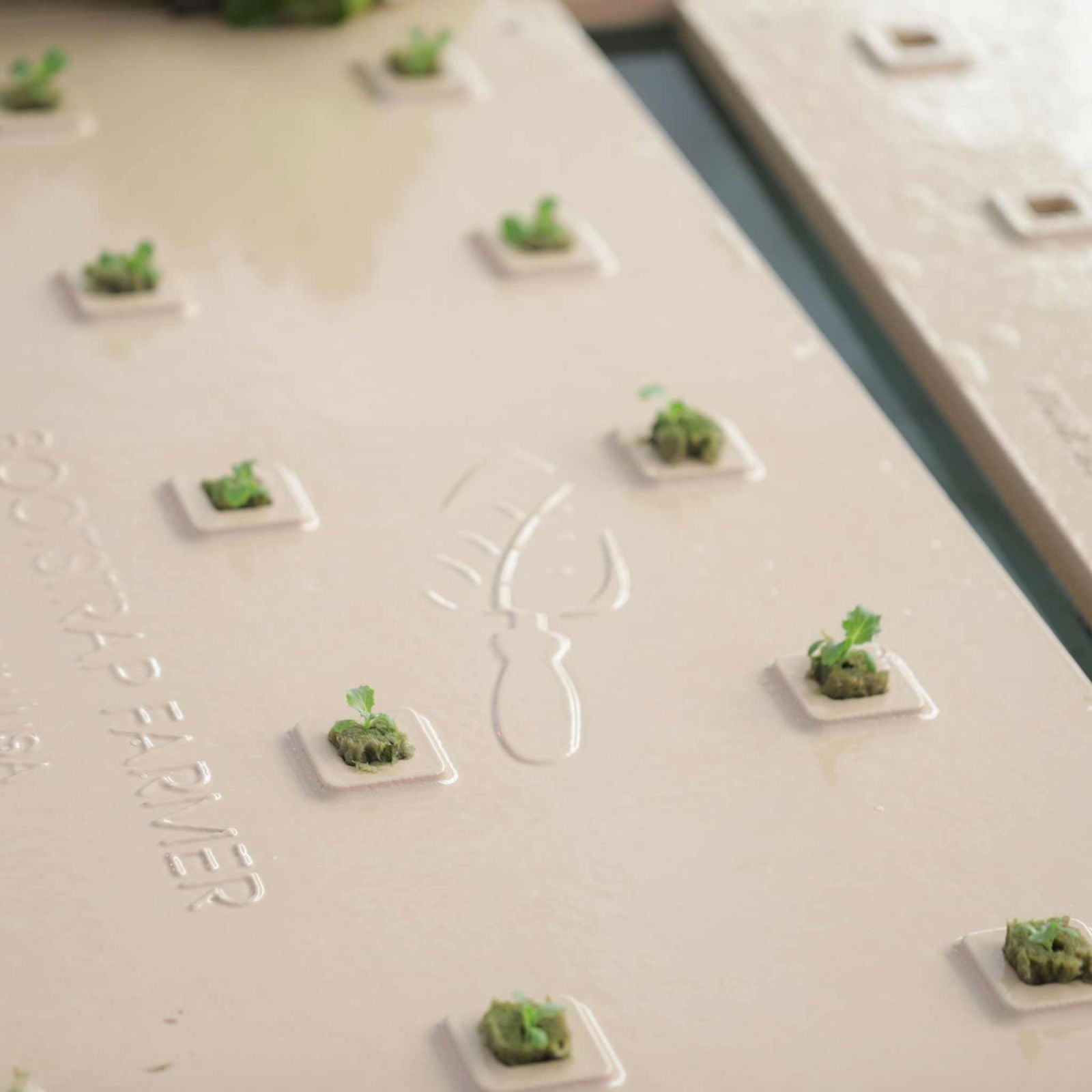 Deep Water Greens Raft by Bootstrap Farmer showing a green aquatic planting raft on water with leafy greens growing.