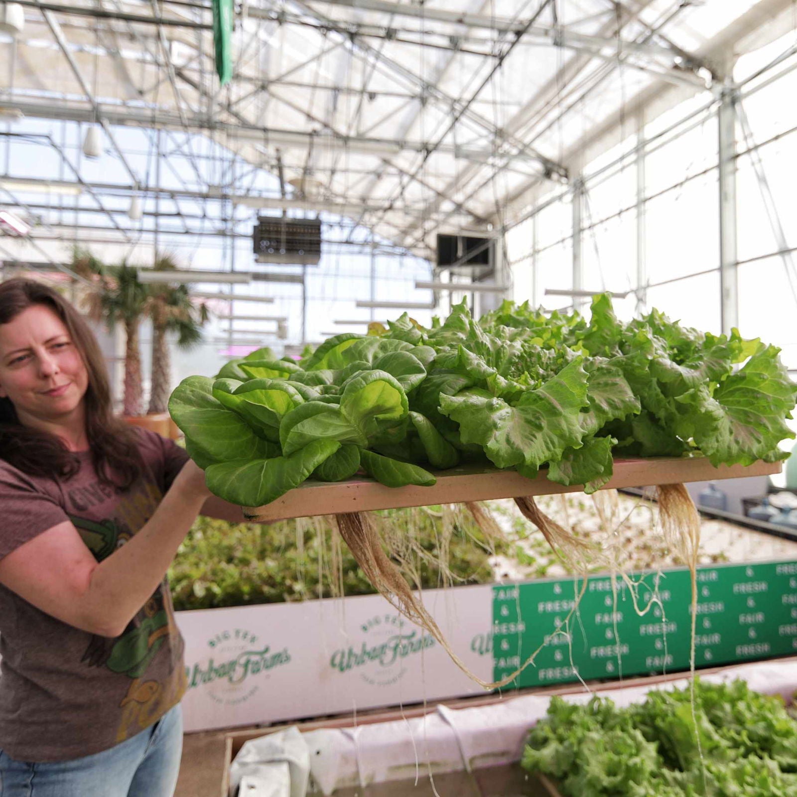 Deep Water Greens Raft by Bootstrap Farmer, floating hydroponic grow raft for leafy greens and vegetables.