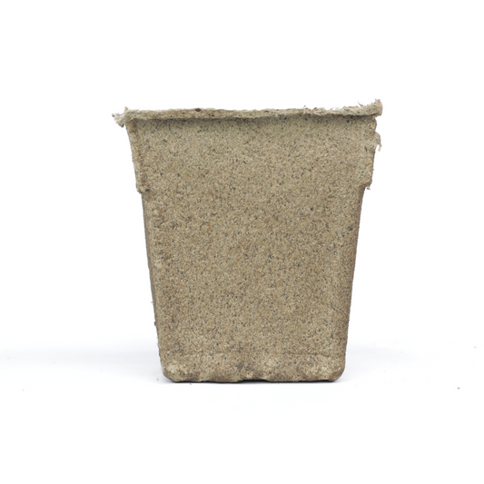 Set of four Bootstrap Farmer CowPots® #4 Square biodegradable seedling pots for starting plants and seedlings.