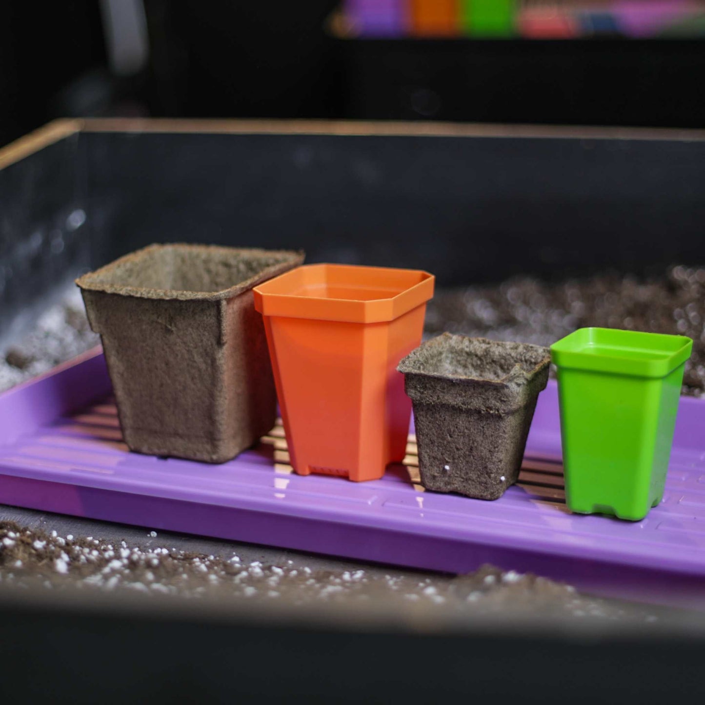 Square CowPots® #4 from Bootstrap Farmer, biodegradable plant pots arranged in a grid for seed starting and transplanting.