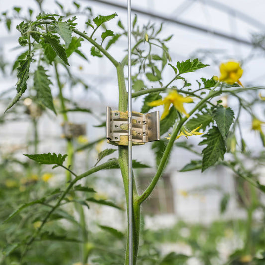 Qlipr Trellising System by Bootstrap Farmer, with multiple adjustable clips for supporting garden plants and vines.
