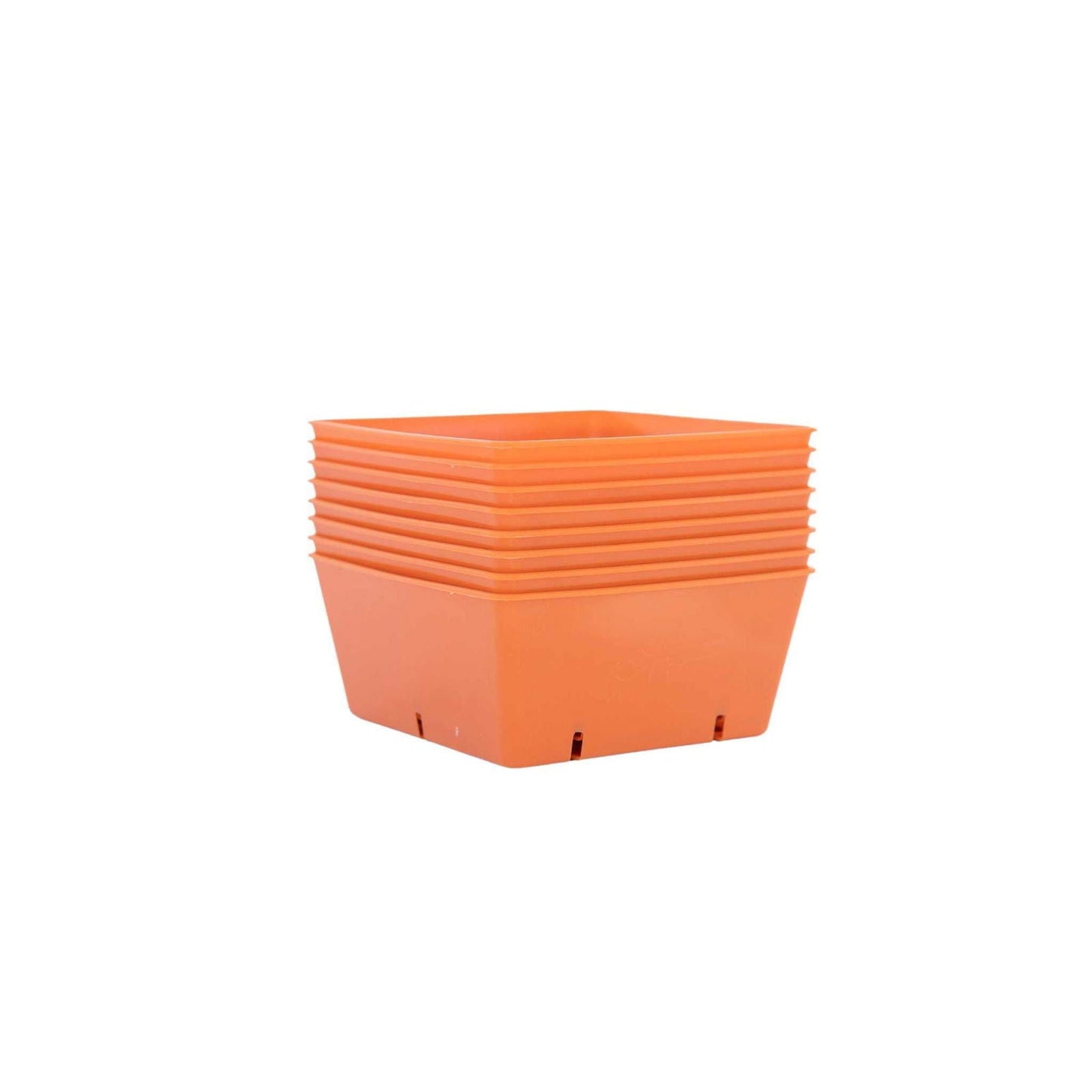 Eight black 5x5 Bootstrap Farmer grow trays with extra strength inserts for reliable plant propagation and seed starting.