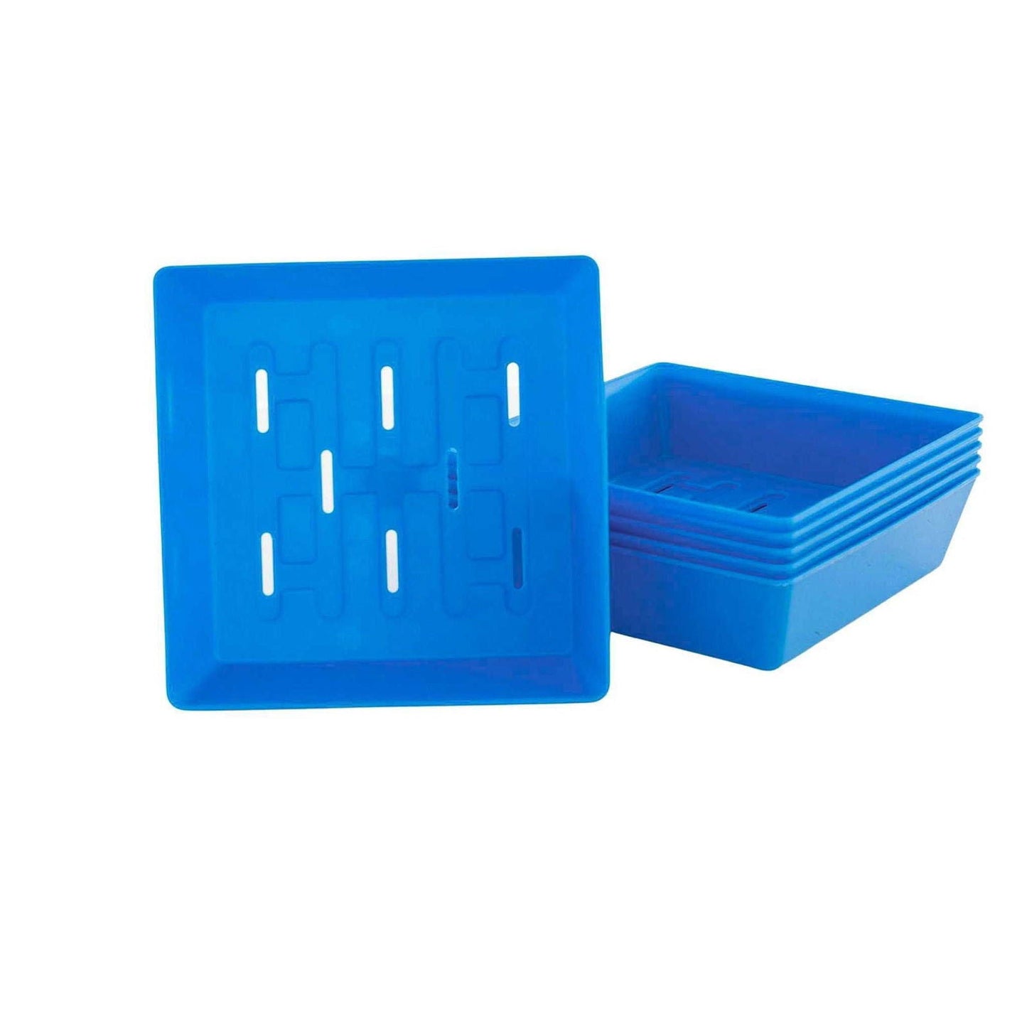 Bootstrap Farmer 5x5 shallow microgreen trays with multicolor inserts, no holes, ideal for growing microgreens indoors.
