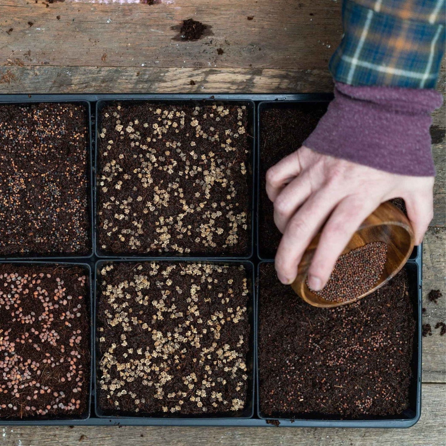 Colorful Bootstrap Farmer 5x5 shallow microgreen trays with 16 inserts, no holes, ideal for small-scale microgreen cultivation.