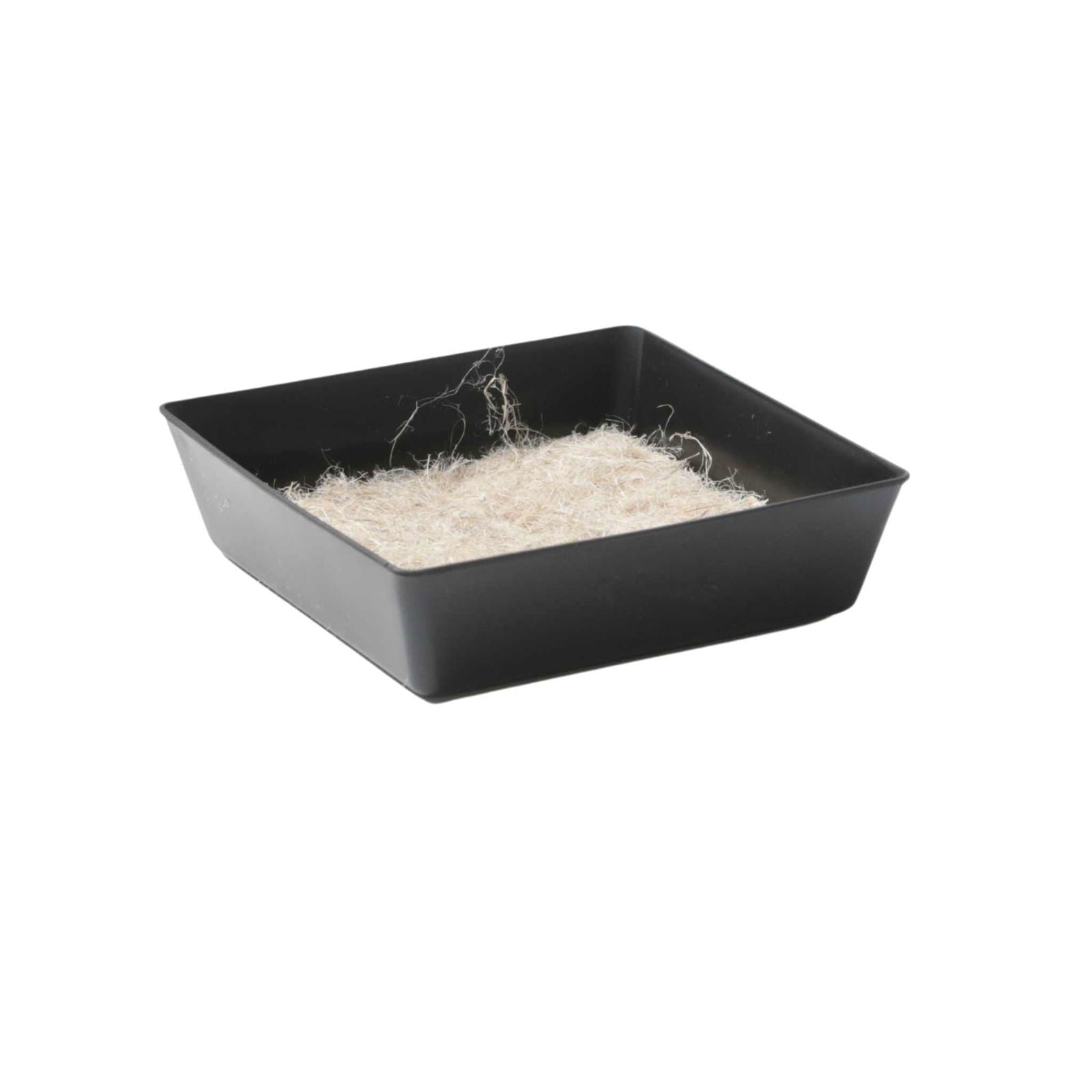 Bootstrap Farmer 5x5 shallow microgreen trays with multicolor 16 inserts, no holes, ideal for microgreen cultivation.