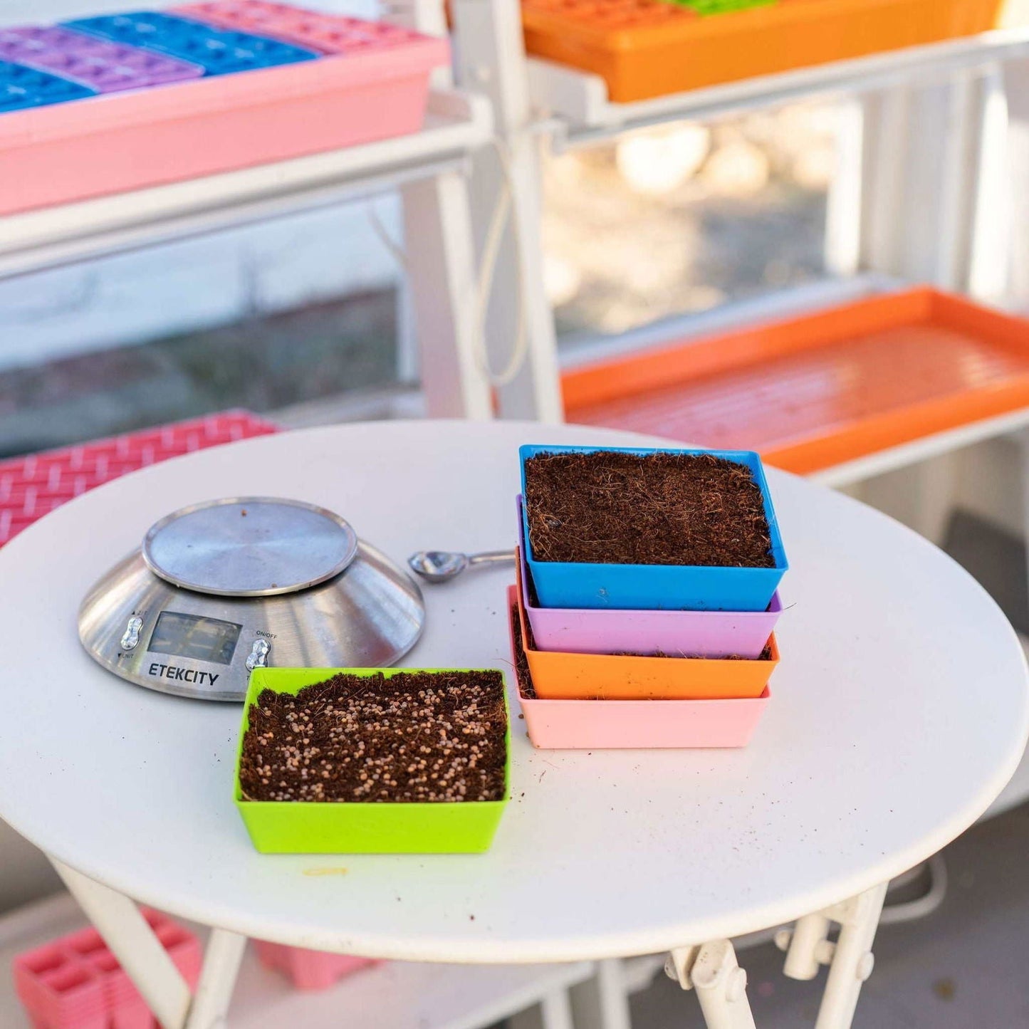 Set of 5x5 shallow microgreen trays by Bootstrap Farmer, colorful inserts, no drainage holes, ideal for microgreen cultivation.