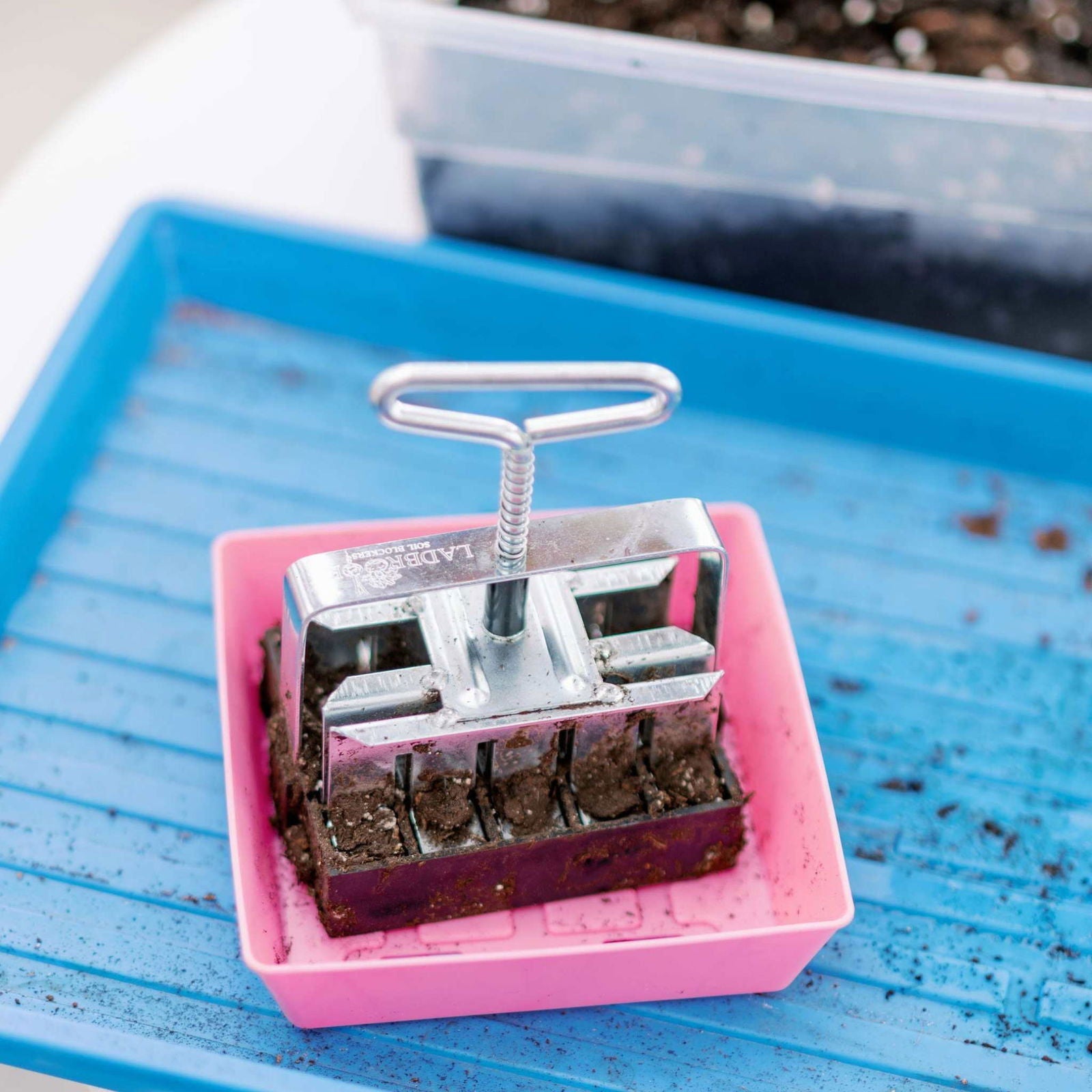 Bootstrap Farmer 5x5 shallow microgreen trays with 16 multicolor inserts, no holes, ideal for microgreen cultivation.