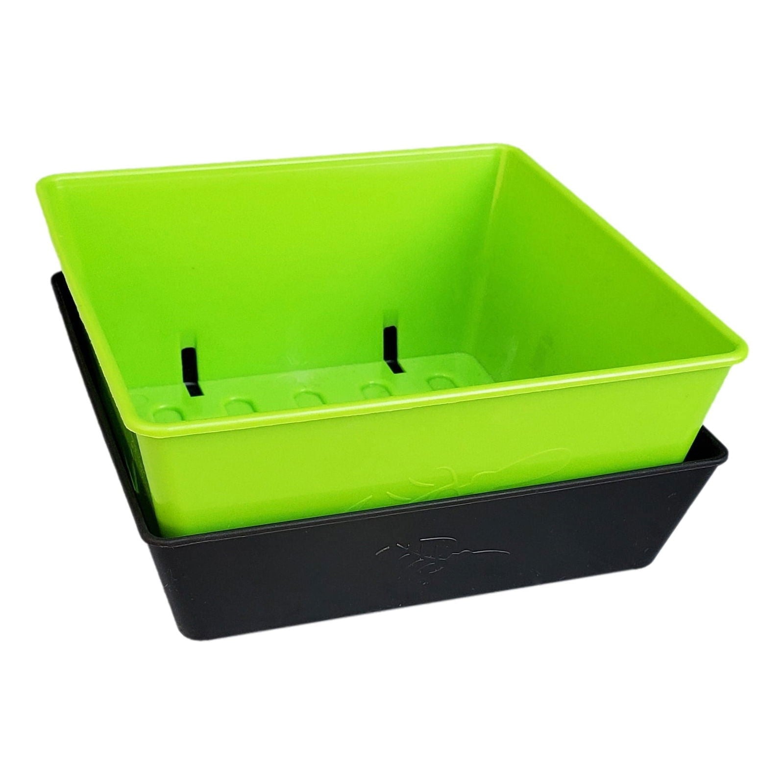 Set of Bootstrap Farmer 5x5 shallow microgreen trays with multicolor inserts, no holes, ideal for microgreen cultivation.