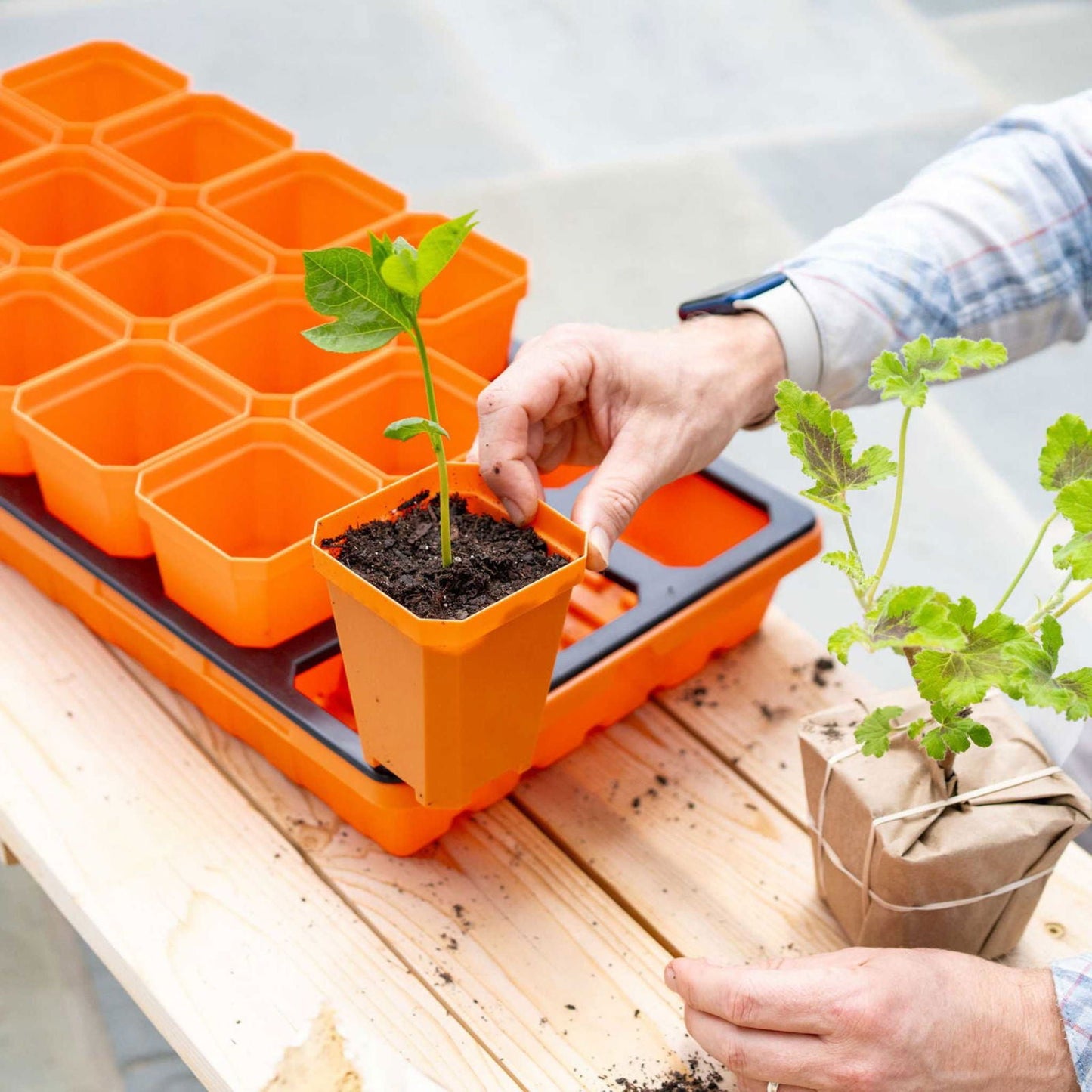 Set of five 5x5 trays filled with multicolor Bootstrap Farmer 3.3-inch heavy-duty seed starting pots for gardening.