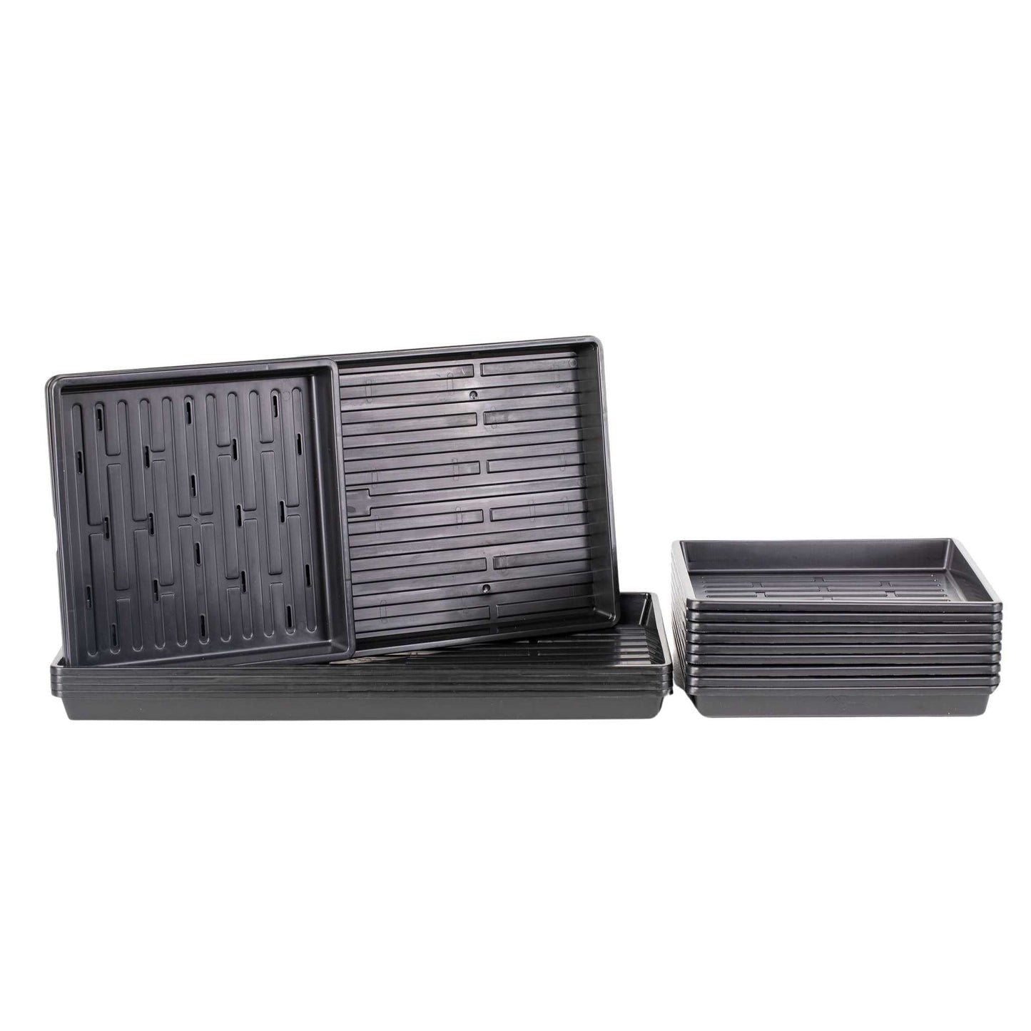 Black microgreens kit with LED grow light from Bootstrap Farmer, including containers and lighting for home microgreens cultivation.