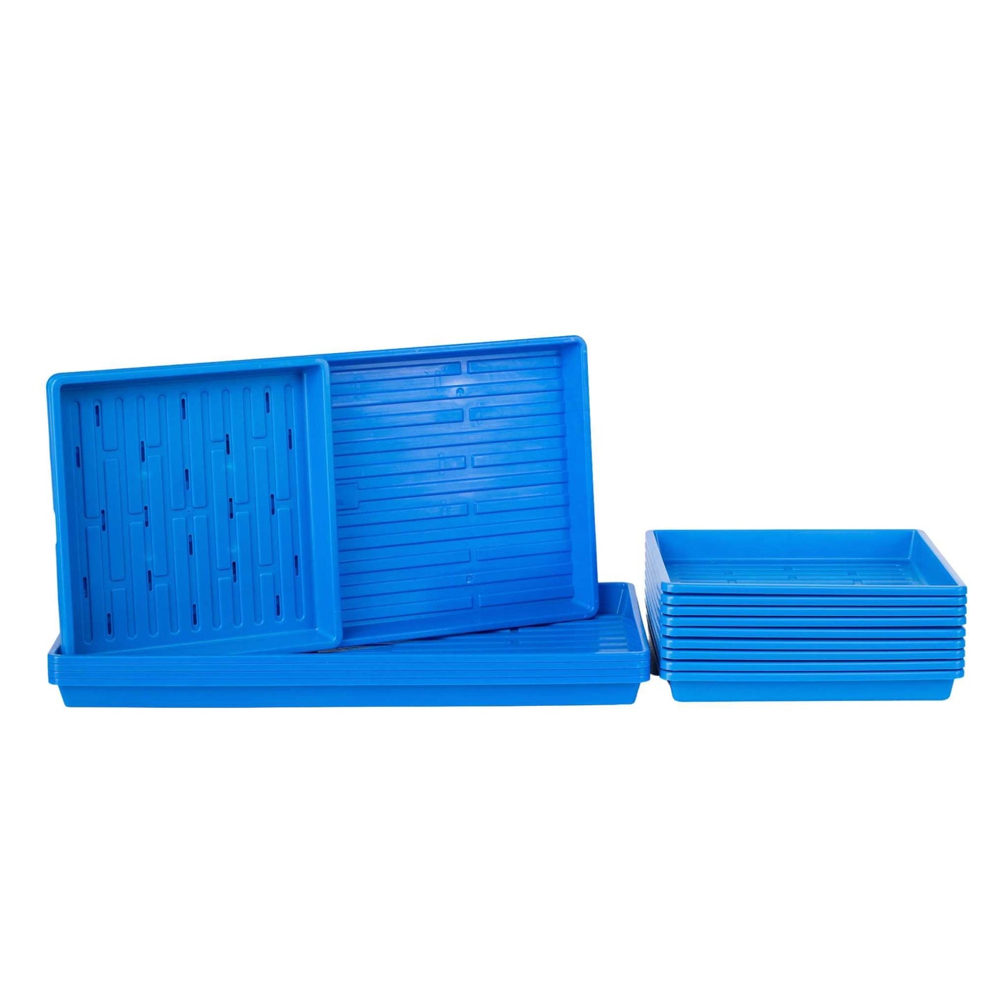 Bootstrap Farmer 1010 Microgreens Kit with black tray and LED grow light for indoor microgreens cultivation.