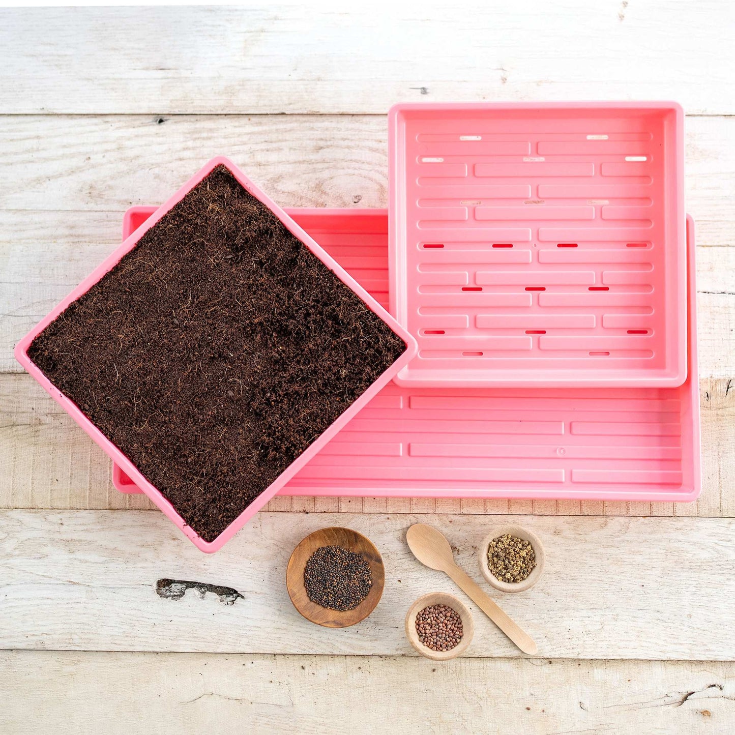 Black Bootstrap Farmer 1010 Microgreens Kit with LED grow light for indoor gardening and easy microgreens cultivation.