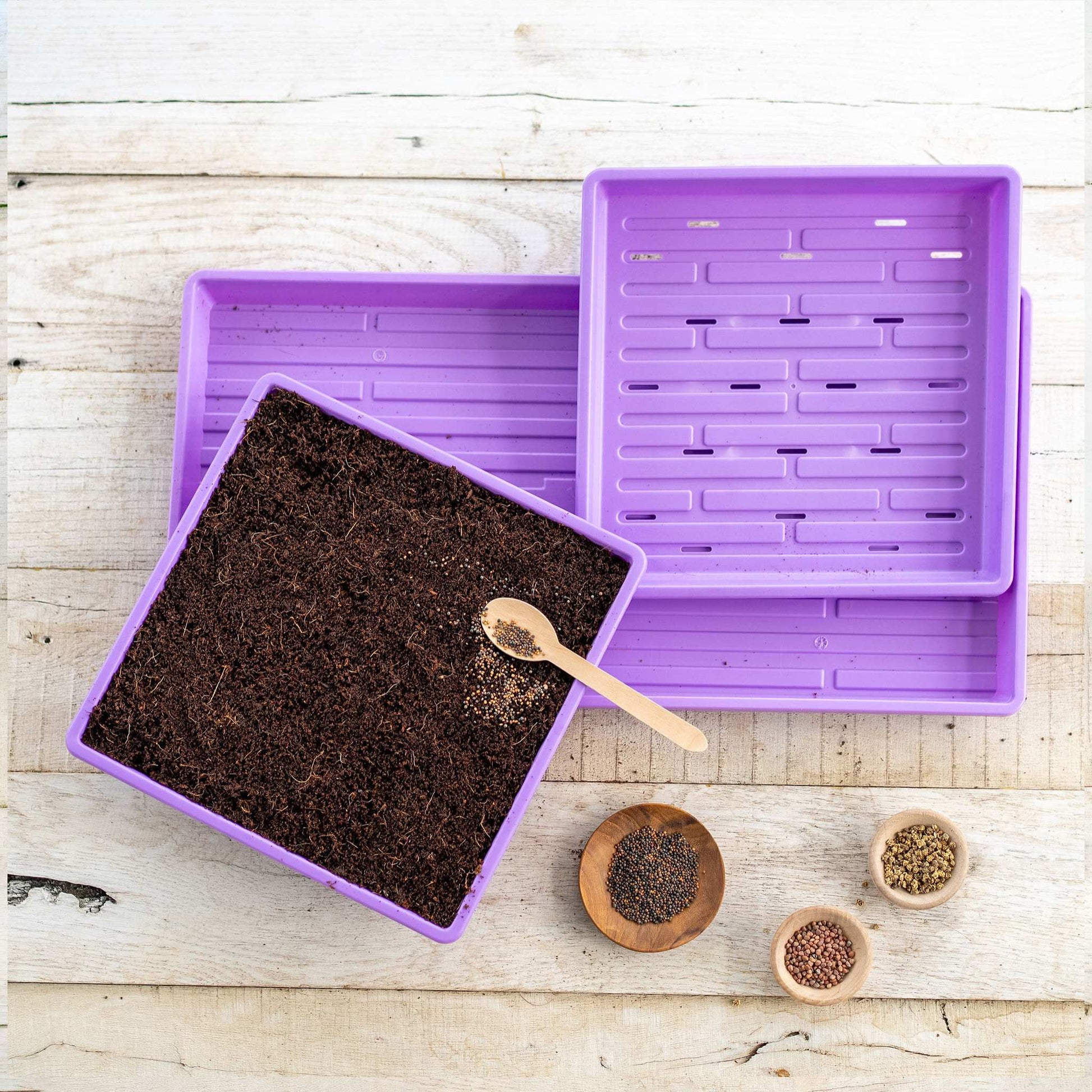 Black Bootstrap Farmer 1010 Microgreens Kit with LED grow light, compact indoor gardening setup for fresh microgreens.