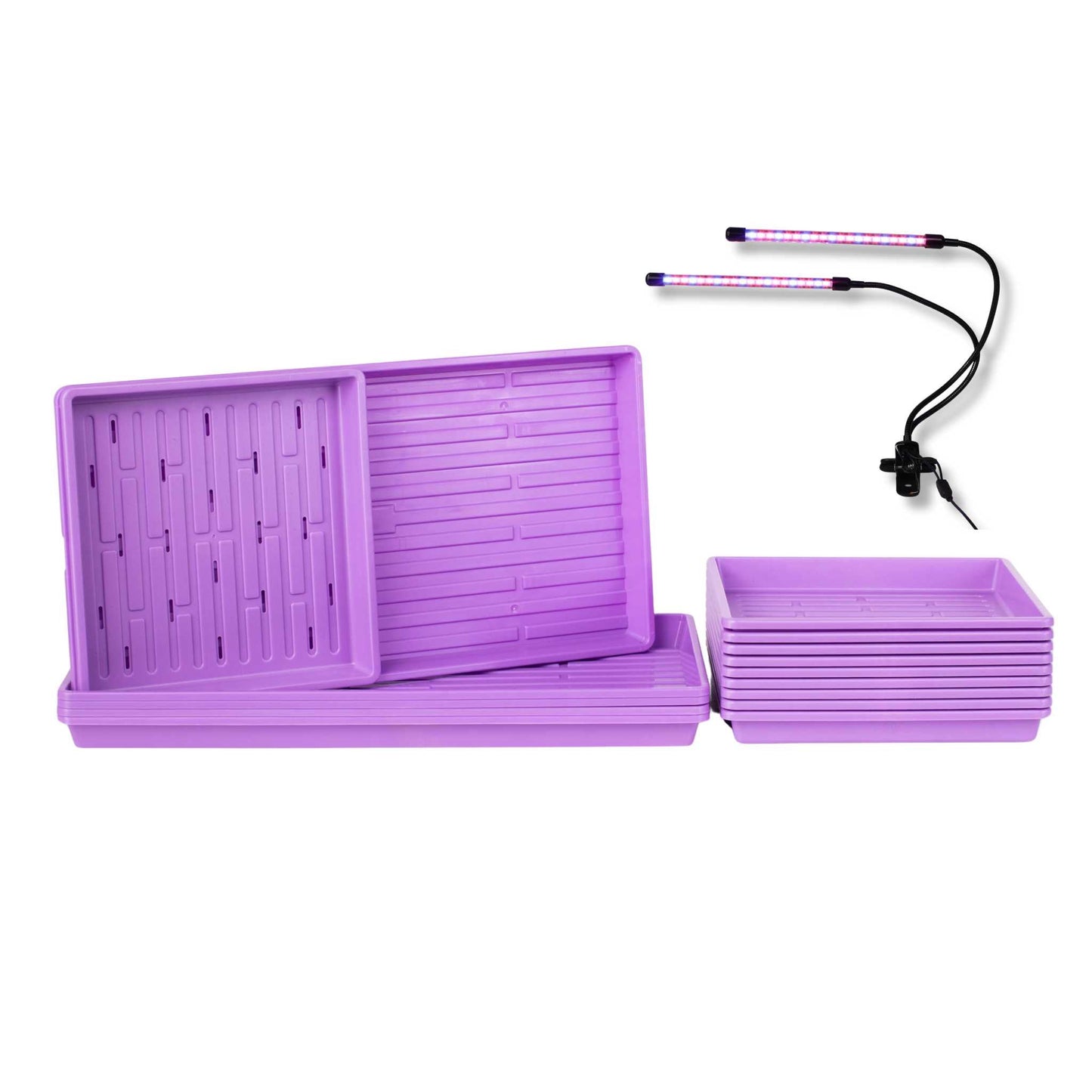 Black Microgreens Kit by Bootstrap Farmer with LED grow light for cultivating fresh microgreens at home.
