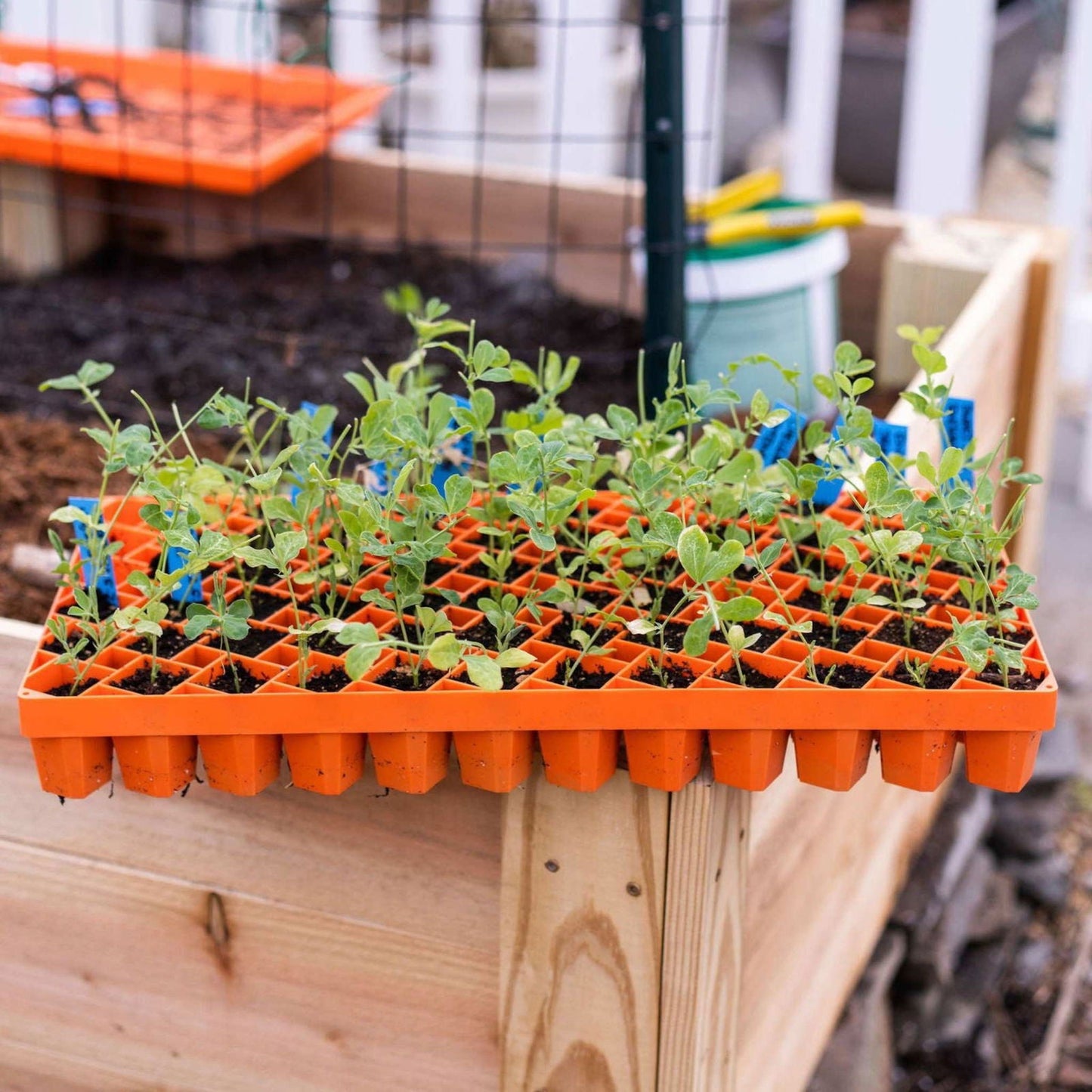 Black Bootstrap Farmer Air Prune Propagation Tray with 72 cells, ideal for seed starting and plant propagation.