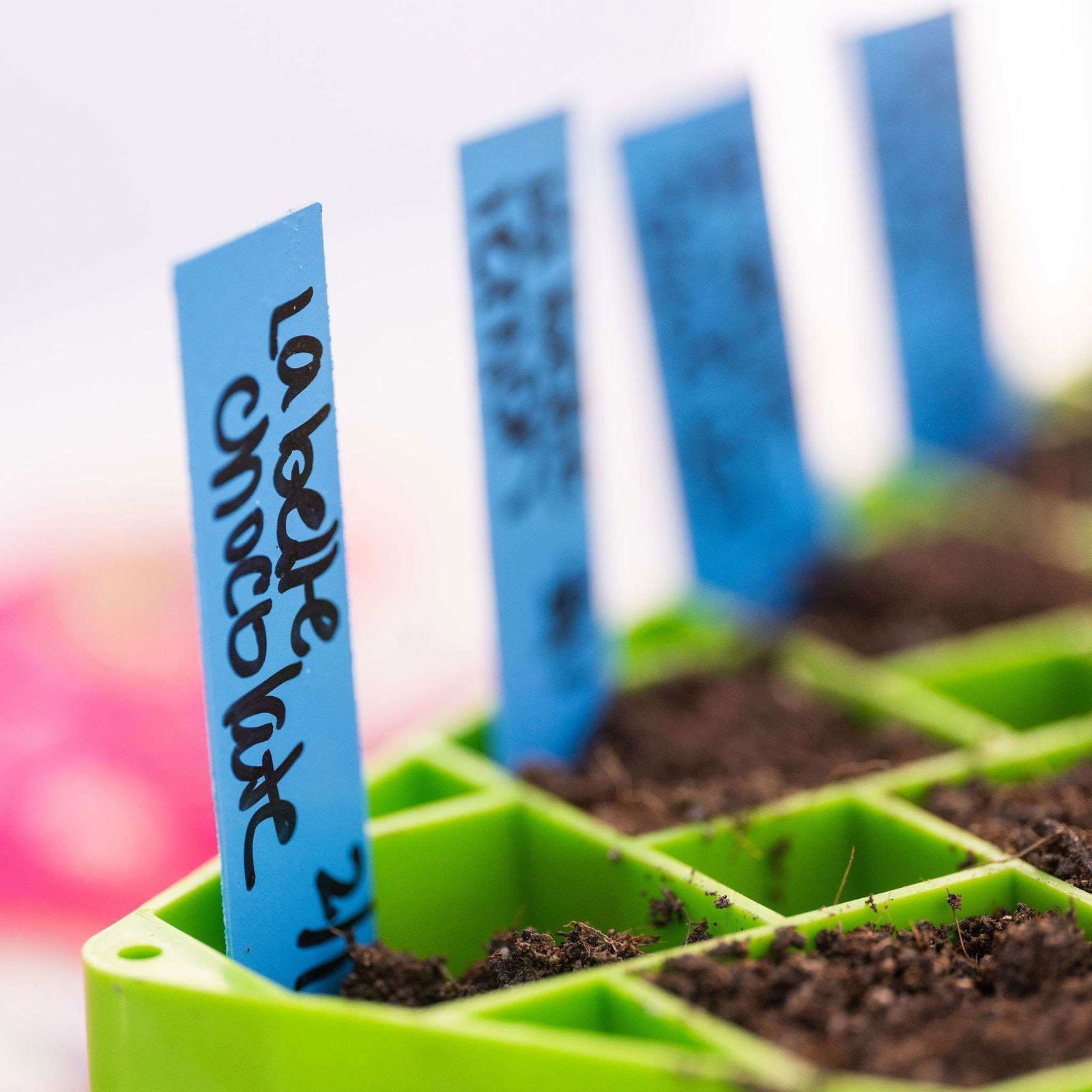 Black Bootstrap Farmer Air Prune Propagation Tray with 72 cells for seed starting and plant propagation.