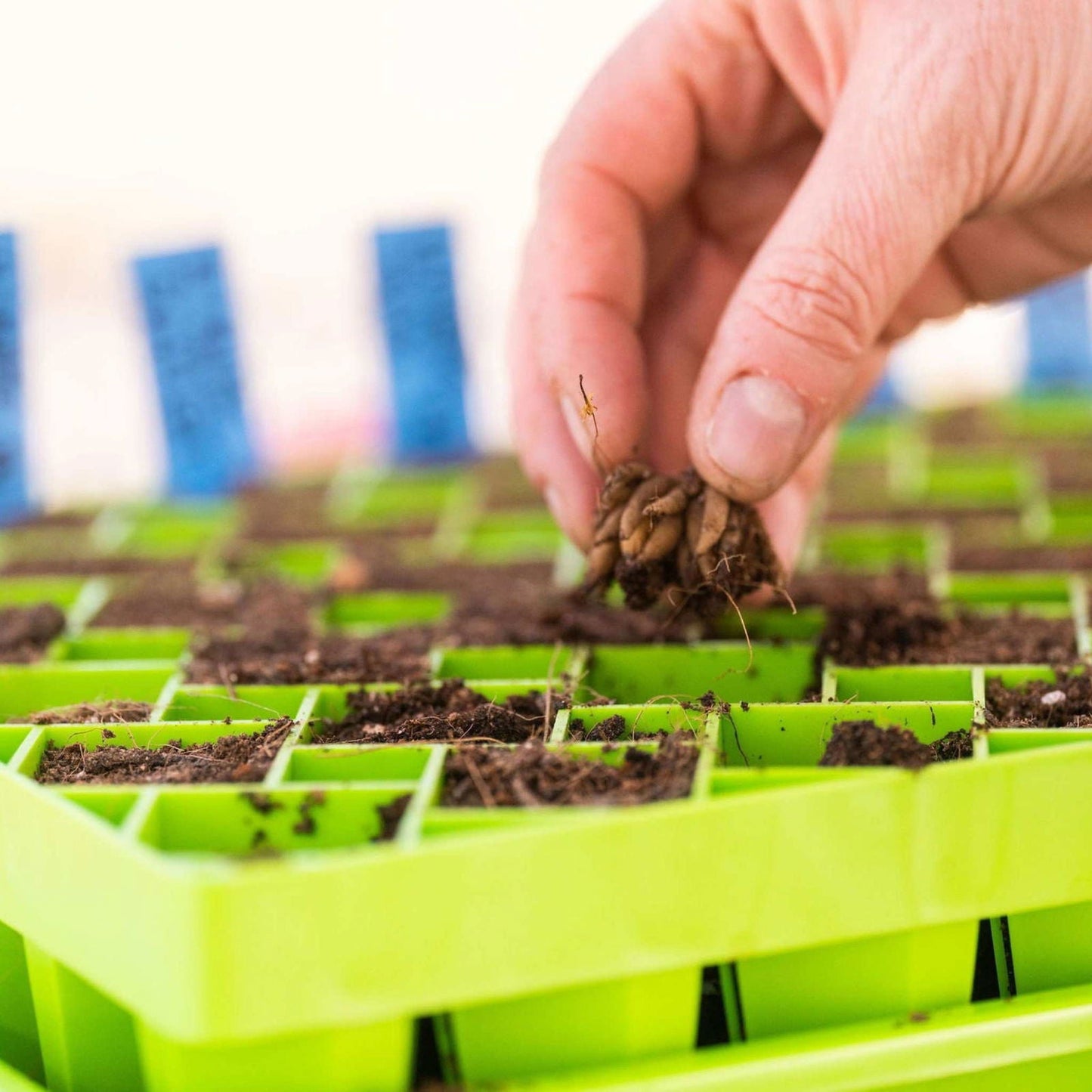 Black Bootstrap Farmer 72-cell air prune propagation tray for plant propagation and seed starting.