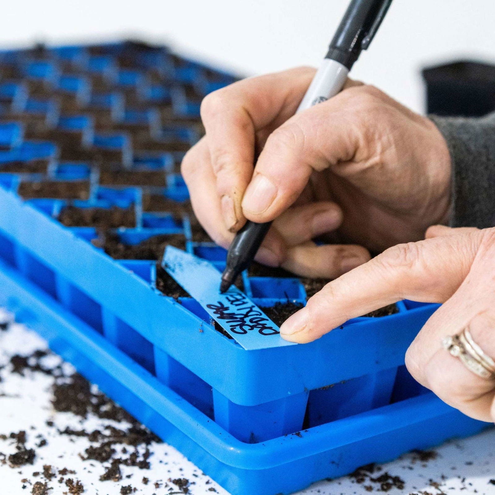 Black Bootstrap Farmer Air Prune Propagation Tray with 72 cells for seed starting and propagation.
