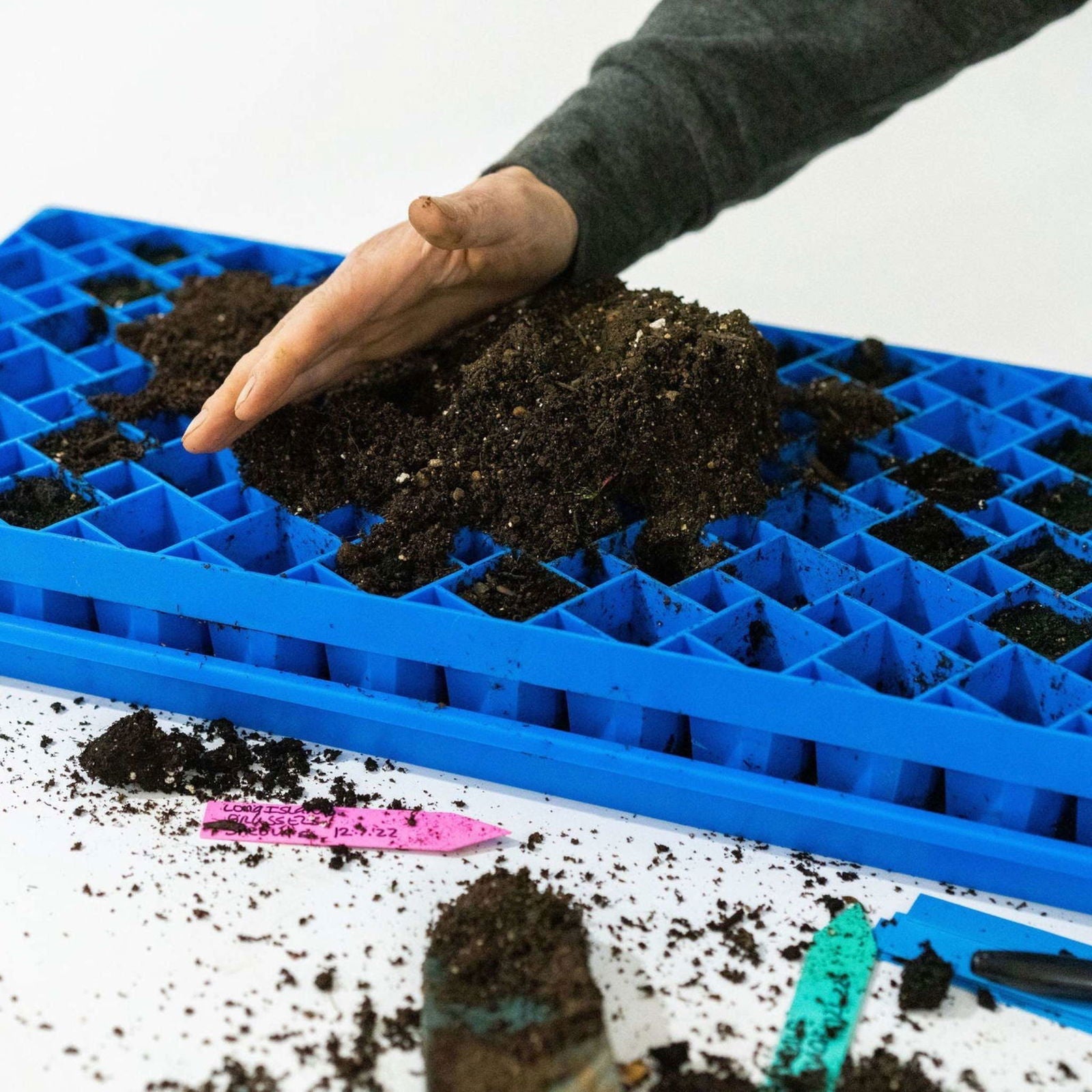 Black Bootstrap Farmer 72-cell air prune propagation tray with individual cell compartments for plant propagation.