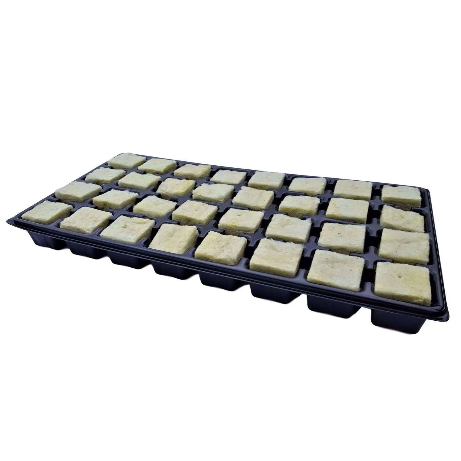 Bootstrap Farmer 32-cell seed starter tray, durable plastic cell trays for seed propagation, ideal for gardening and plant starting.