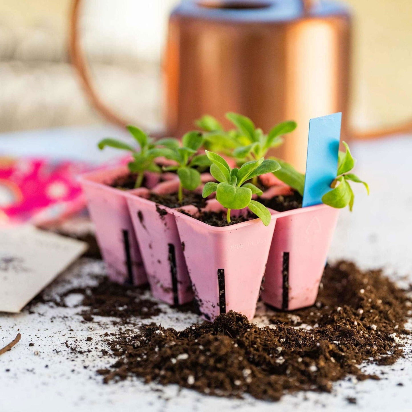 Bootstrap Farmer 6-cell plug tray inserts in various colors, ideal for seed starting and plant propagation.